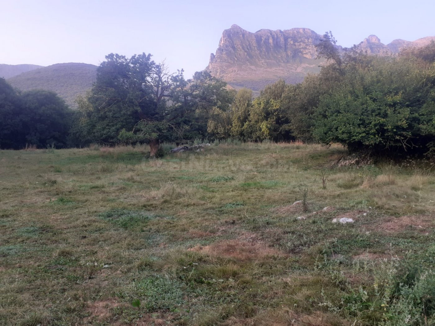 FINCA RUSTICA EN RAMALES DE LA VICTORIA (CANTABRIA) - foto 2
