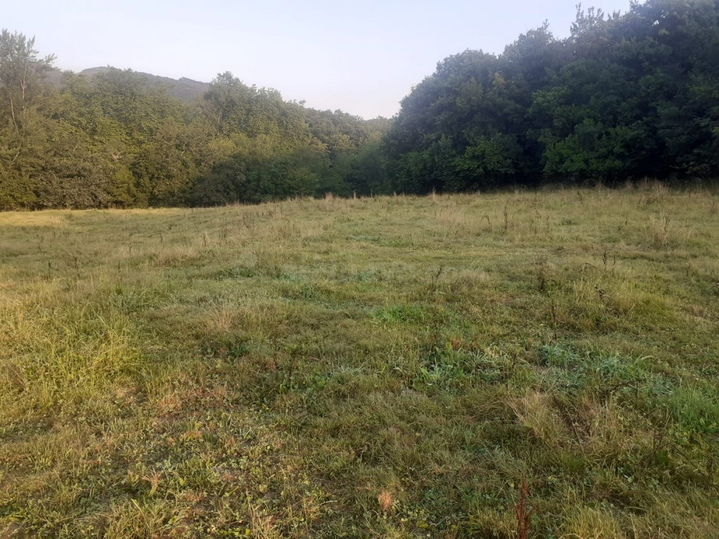 FINCA RUSTICA EN RAMALES DE LA VICTORIA (CANTABRIA) - foto 3