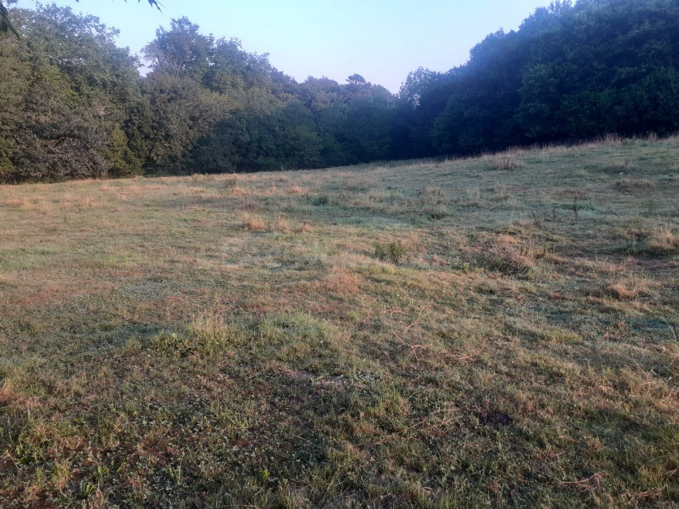 FINCA RUSTICA EN RAMALES DE LA VICTORIA (CANTABRIA) - foto 4