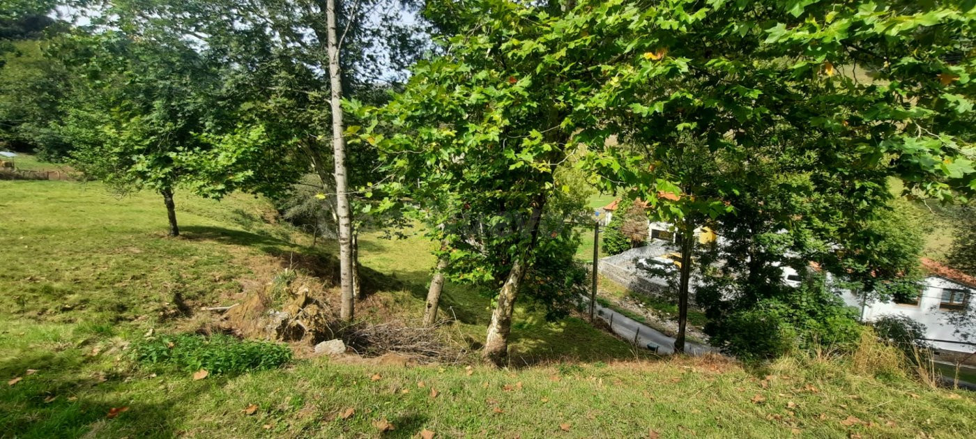 TERRENO EN SUELO URBANO EN BUSTABLADO-ARREDONDO (CANTABRIA) - foto 4