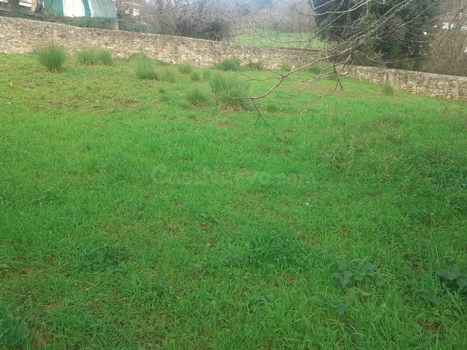 SE VENDE TERRENO EN CERBIAGO- AMPUERO (CANTABRIA) - foto 5