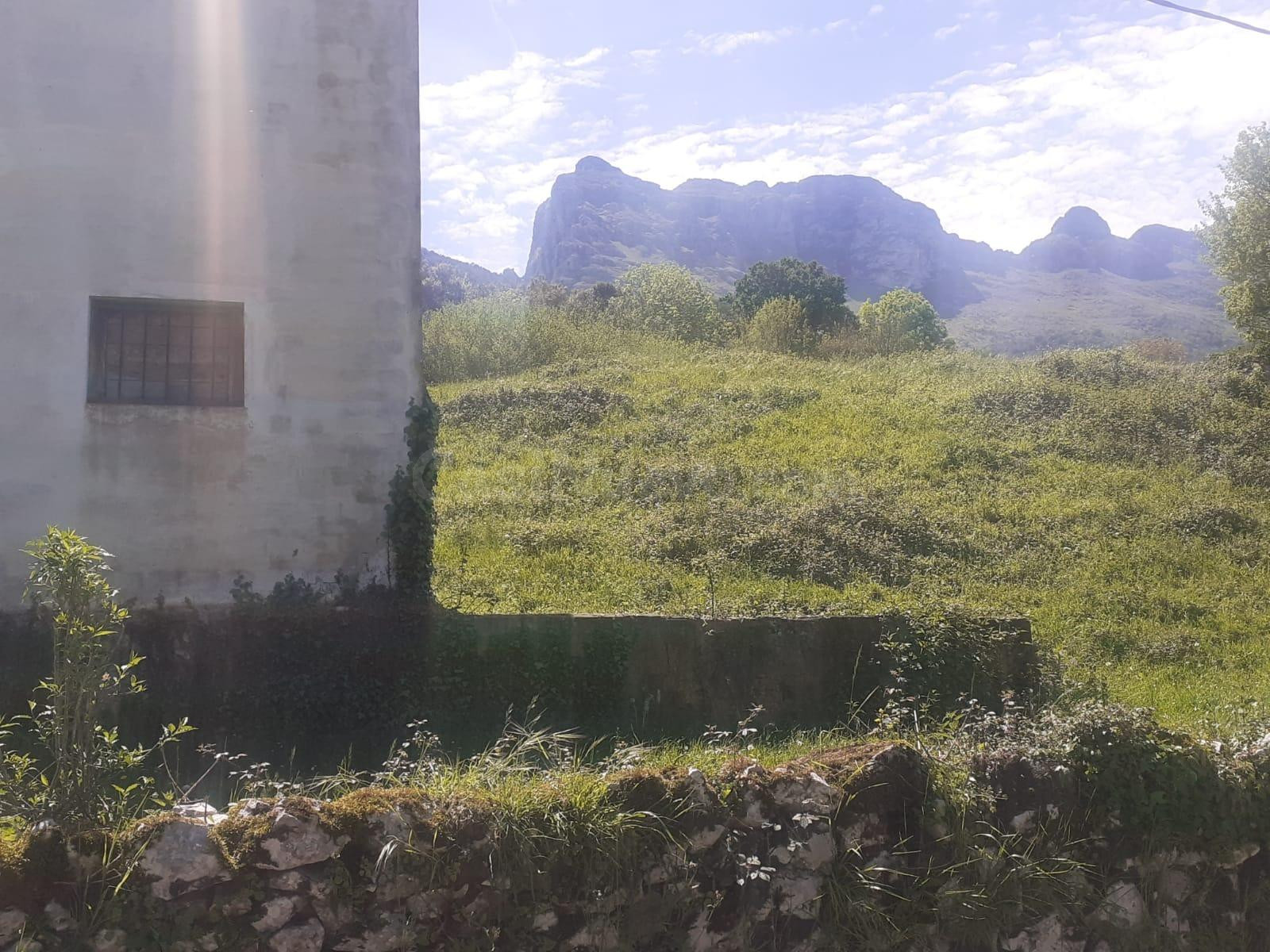 SE VENDE TERRENO CON EDIFICIO EN RAMALES D ELA VICTORIA (CAN - foto 3