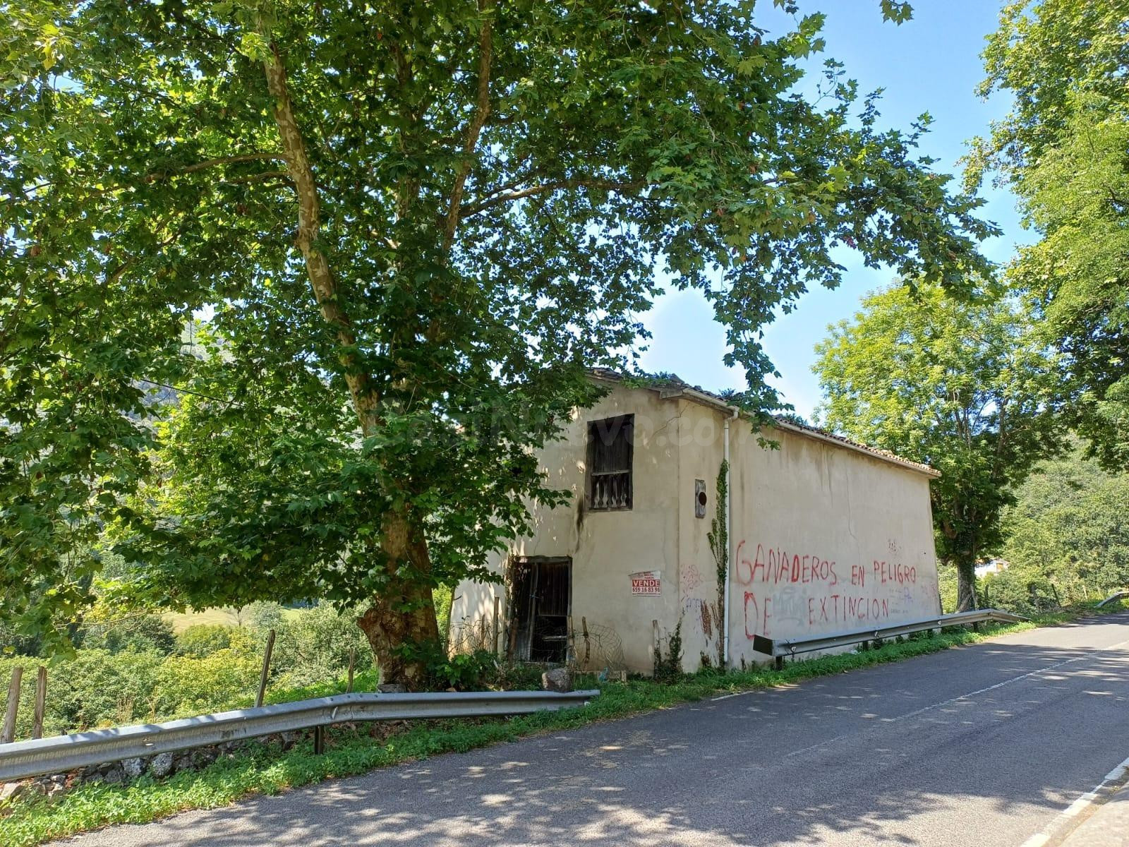 SE VENDE CABAÑA EN ARREDONDO CON TERRENO - foto 2