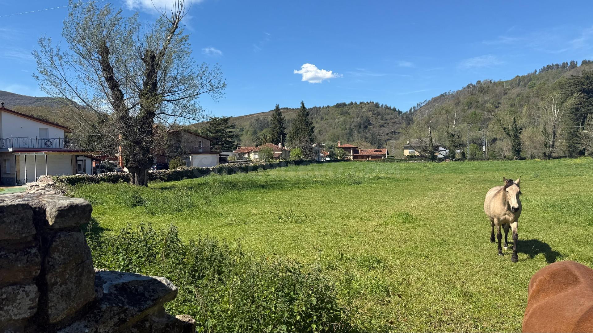 Terreno urbano 11749m² en venta - Northern spain - foto 2