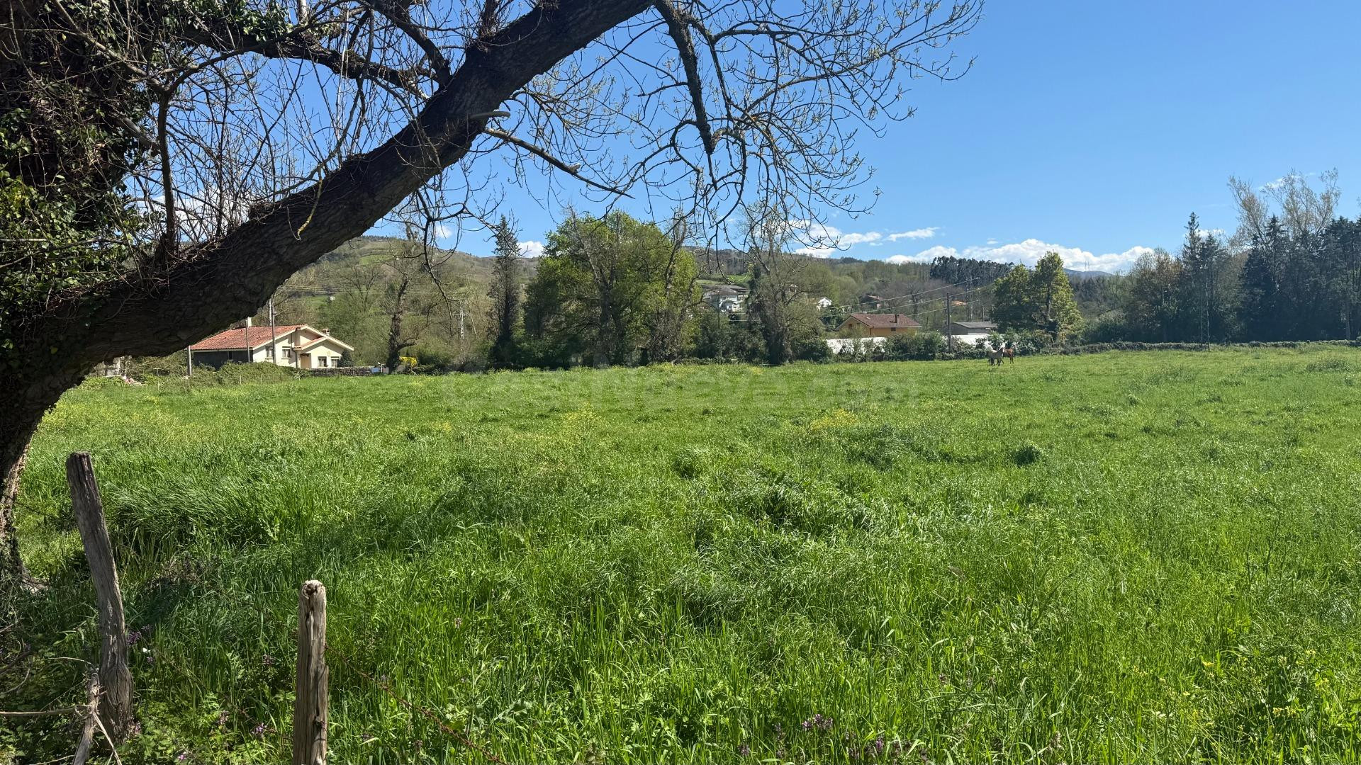 Terreno urbano 11749m² en venta - Northern spain - foto 3