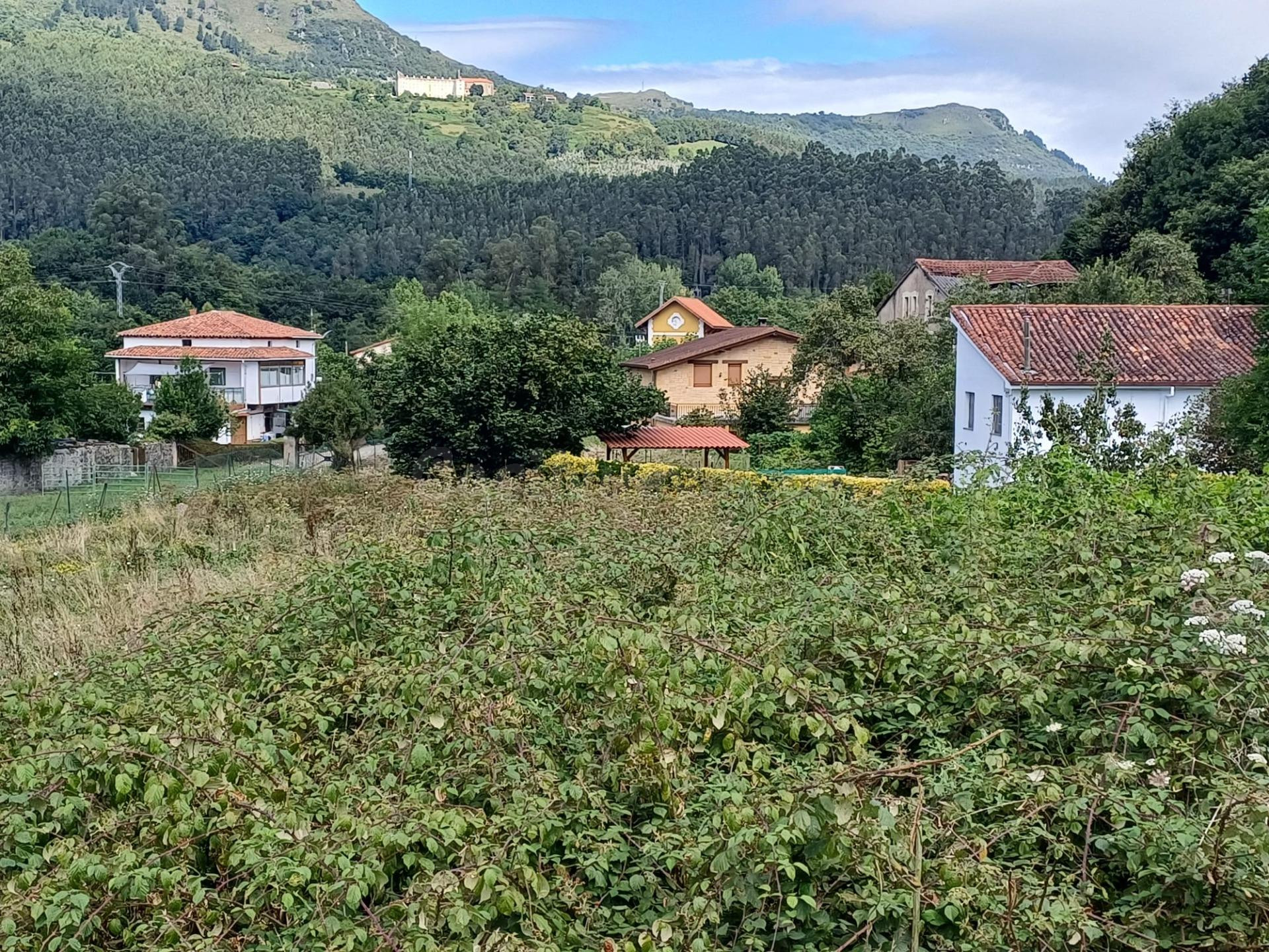 SE VENDE PARCELA URBANA EN UDALLA (CANTABRIA) - foto 4