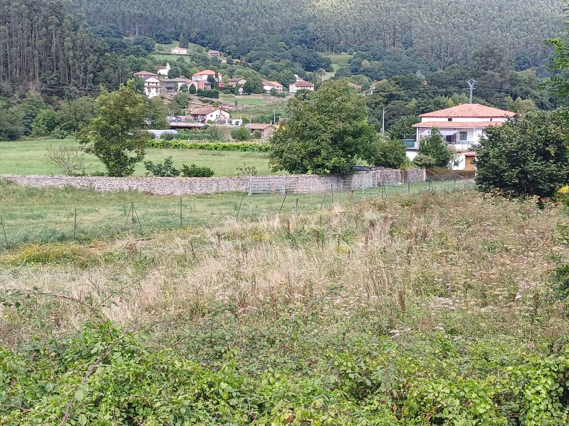 SE VENDE PARCELA URBANA EN UDALLA (CANTABRIA) - foto 5
