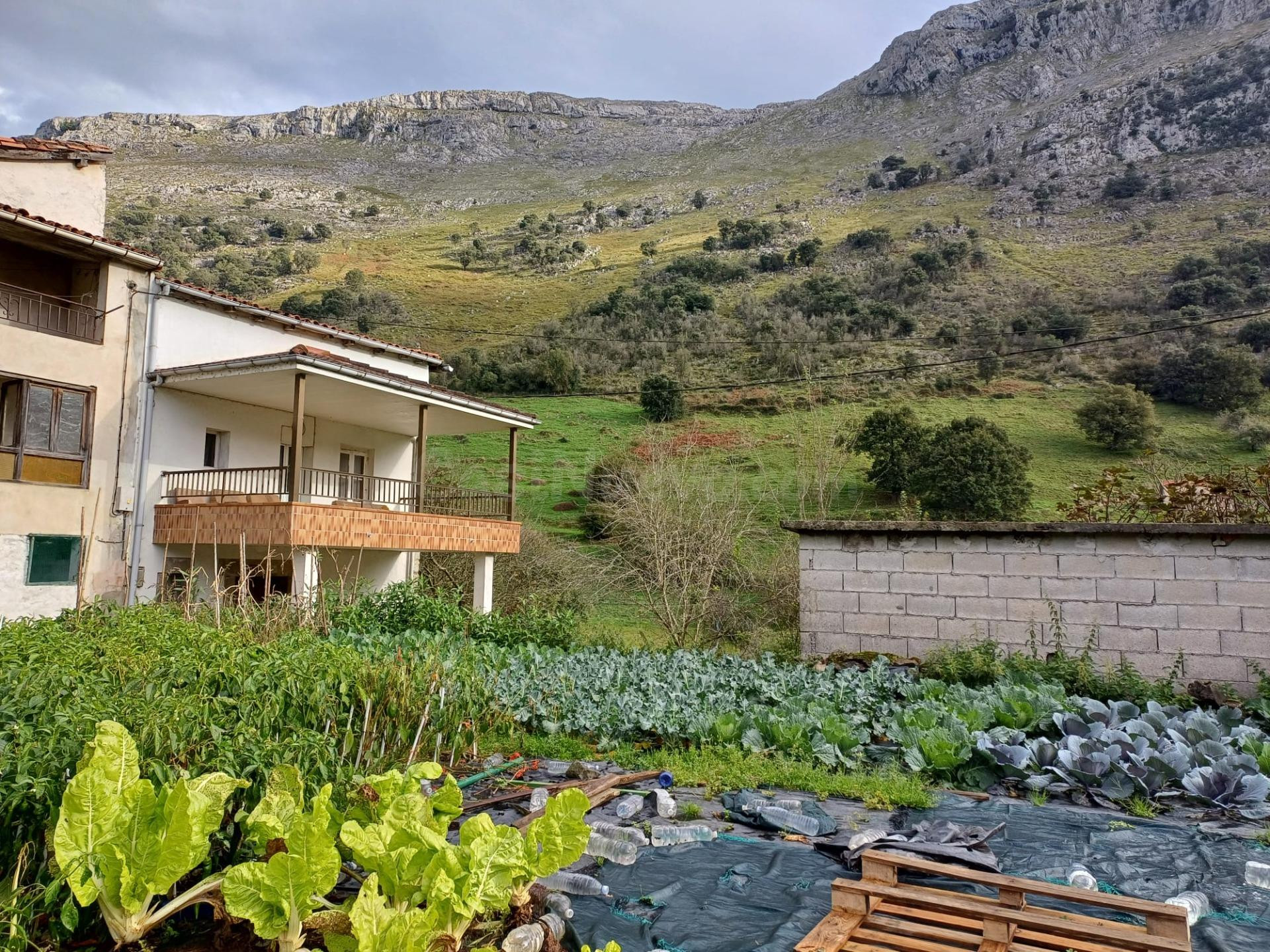 CASA PAREADA CON TERRENO EN MATIENZO (CANTABRIA)