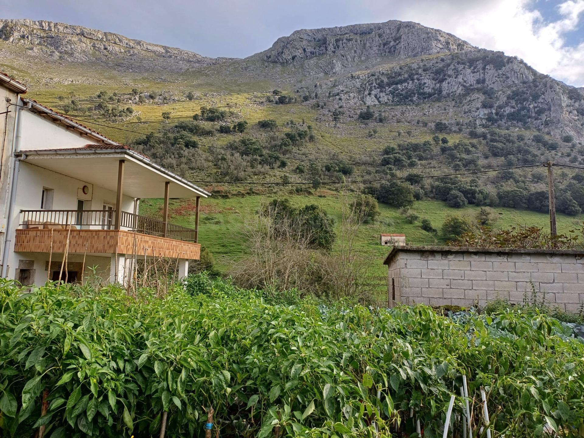 CASA PAREADA CON TERRENO EN MATIENZO (CANTABRIA) - foto 2