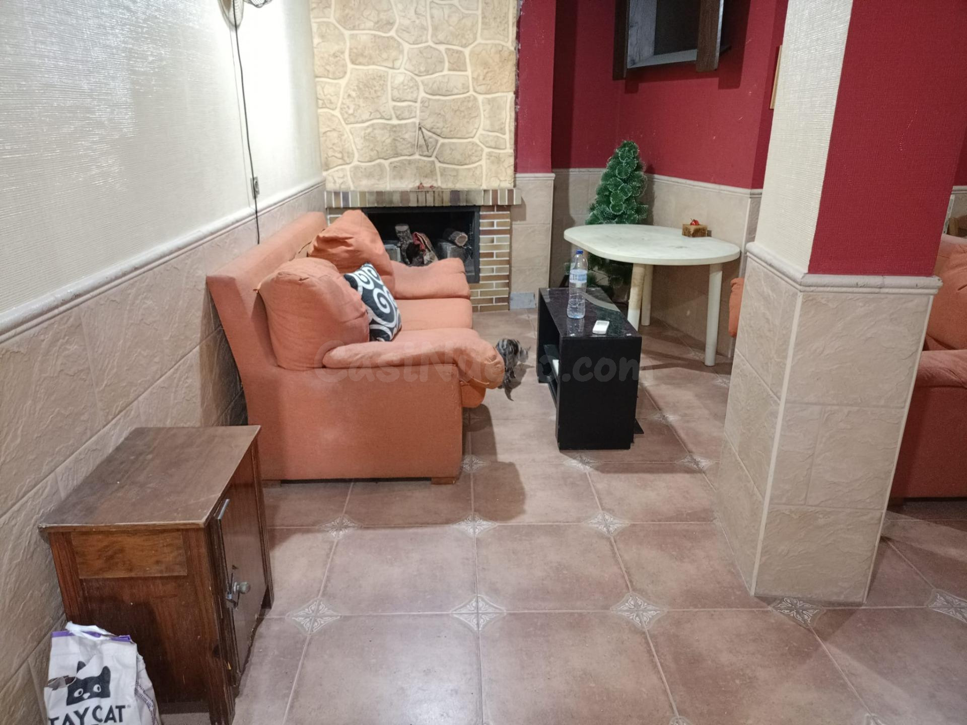 GRAN VIVIENDA EN PLANTA BAJA CON GARAJE Y BODEGA EN VENTA EN - foto 4
