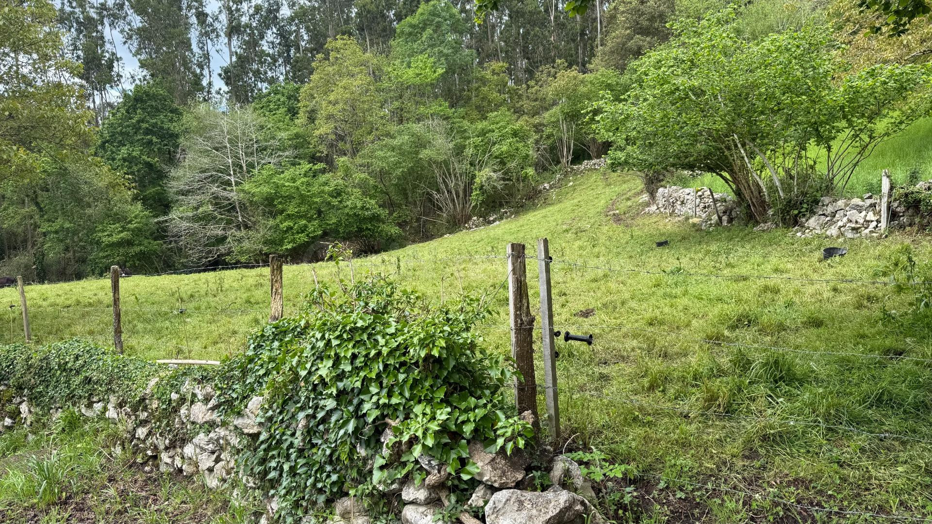 Terreno rural en venta - Lamadrid