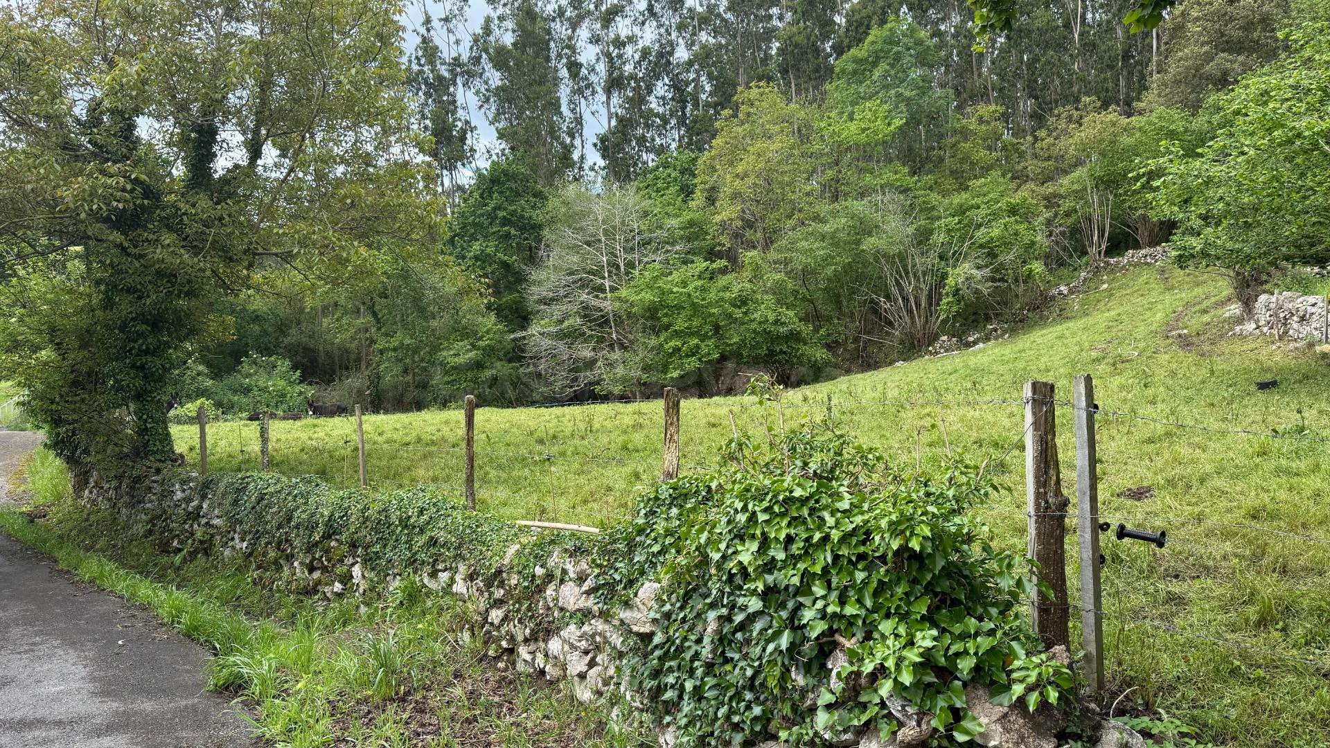 Terreno rural en venta - Lamadrid - foto 2