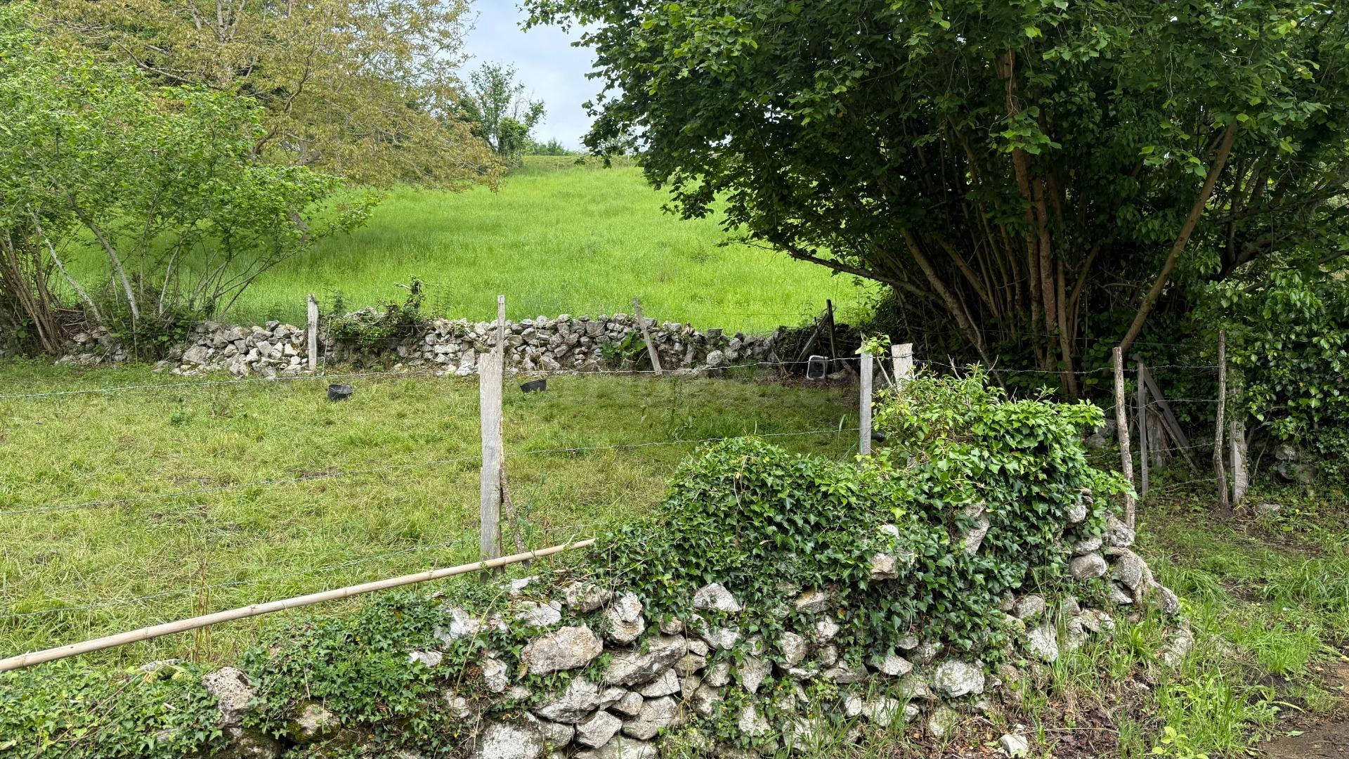 Terreno rural en venta - Lamadrid - foto 4