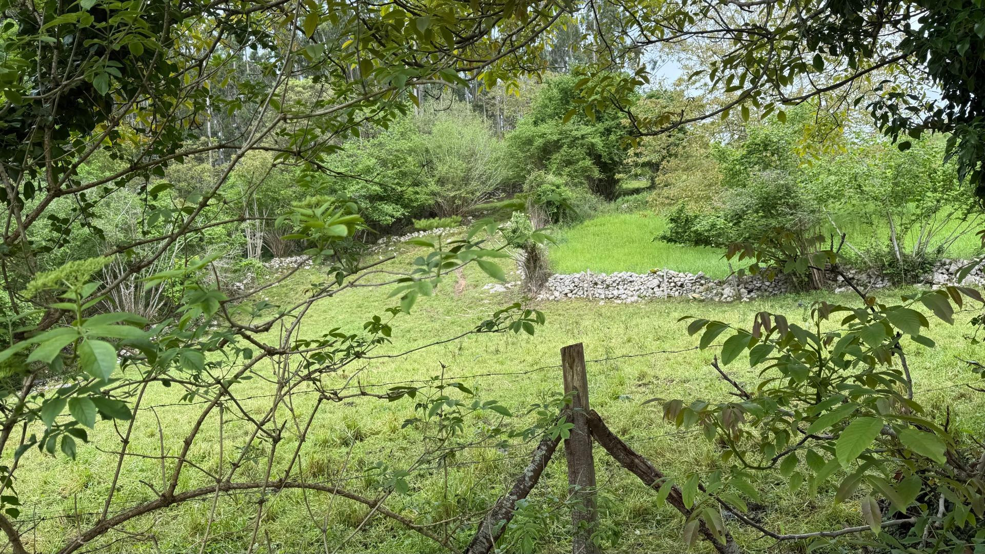 Terreno rural en venta - Lamadrid - foto 5