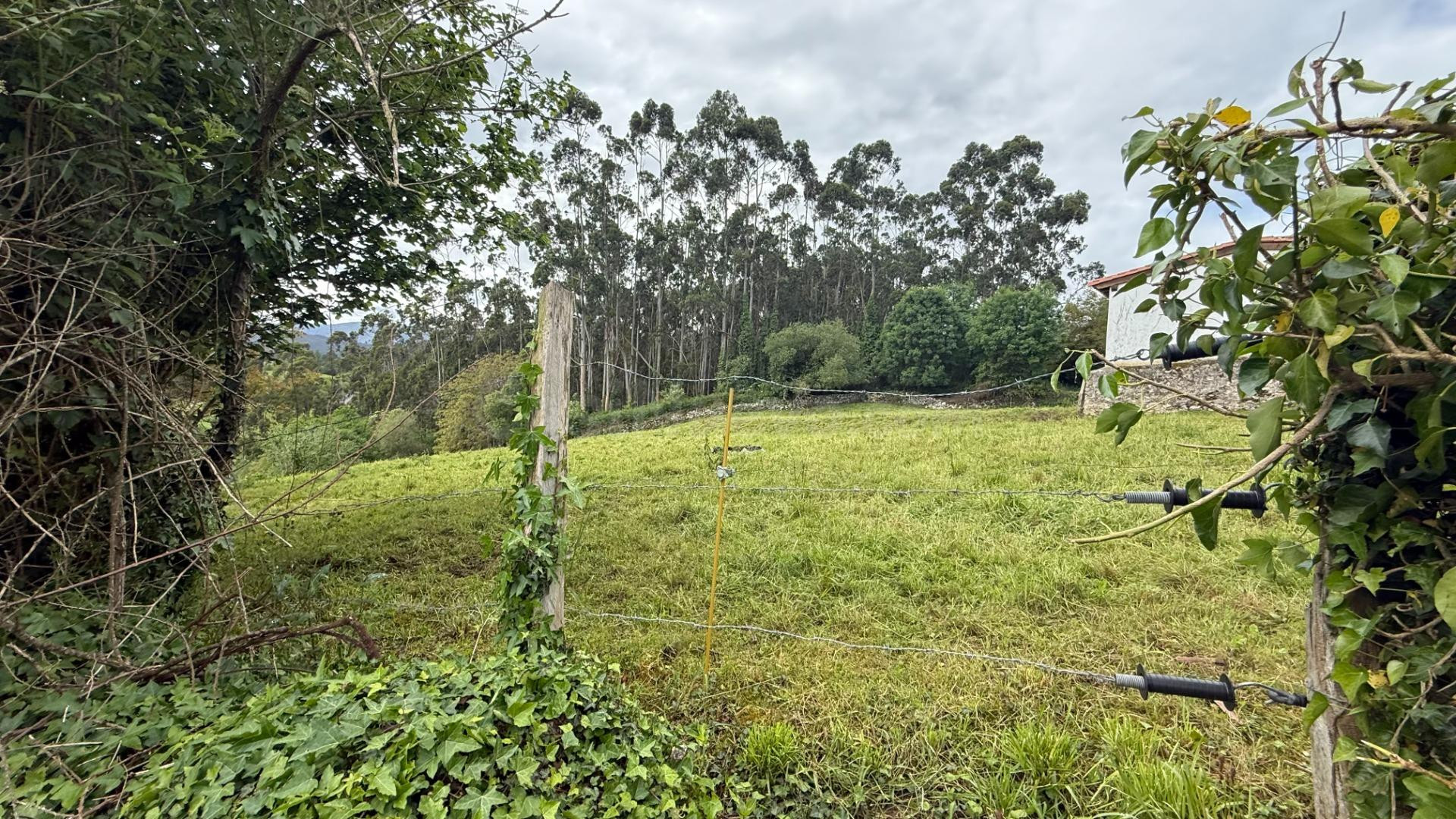 Terreno rural en venta - Lamadrid