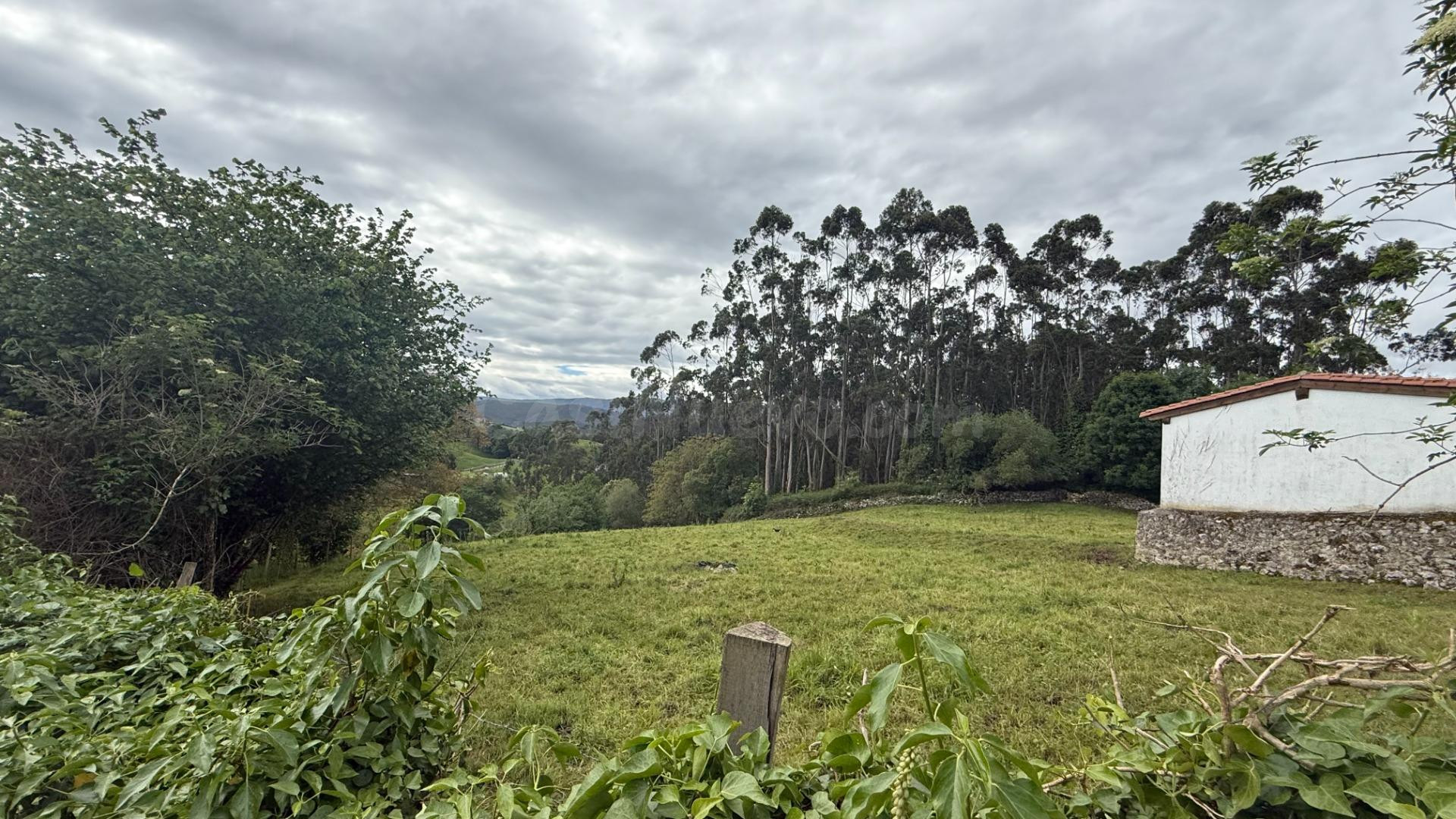 Terreno rural en venta - Lamadrid - foto 2