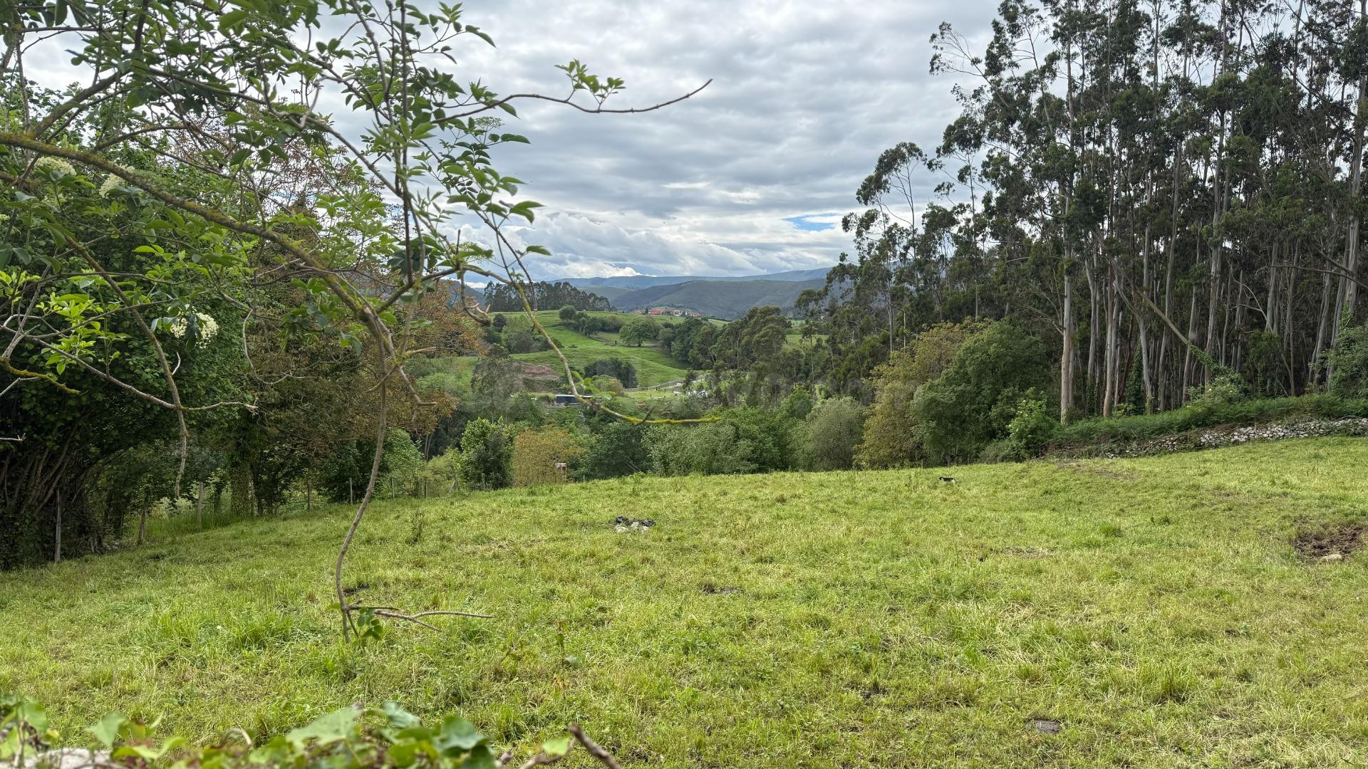 Terreno rural en venta - Lamadrid - foto 3