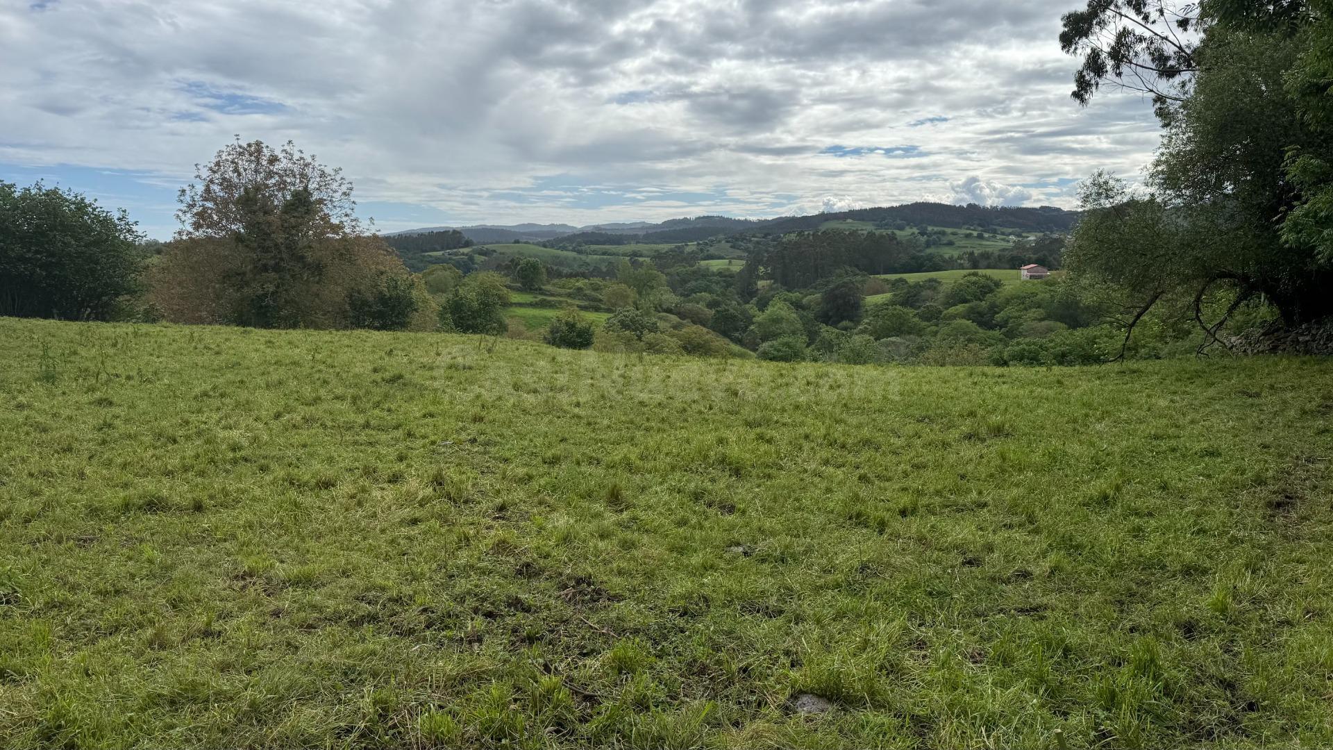Terreno rural en venta - Lamadrid - foto 4