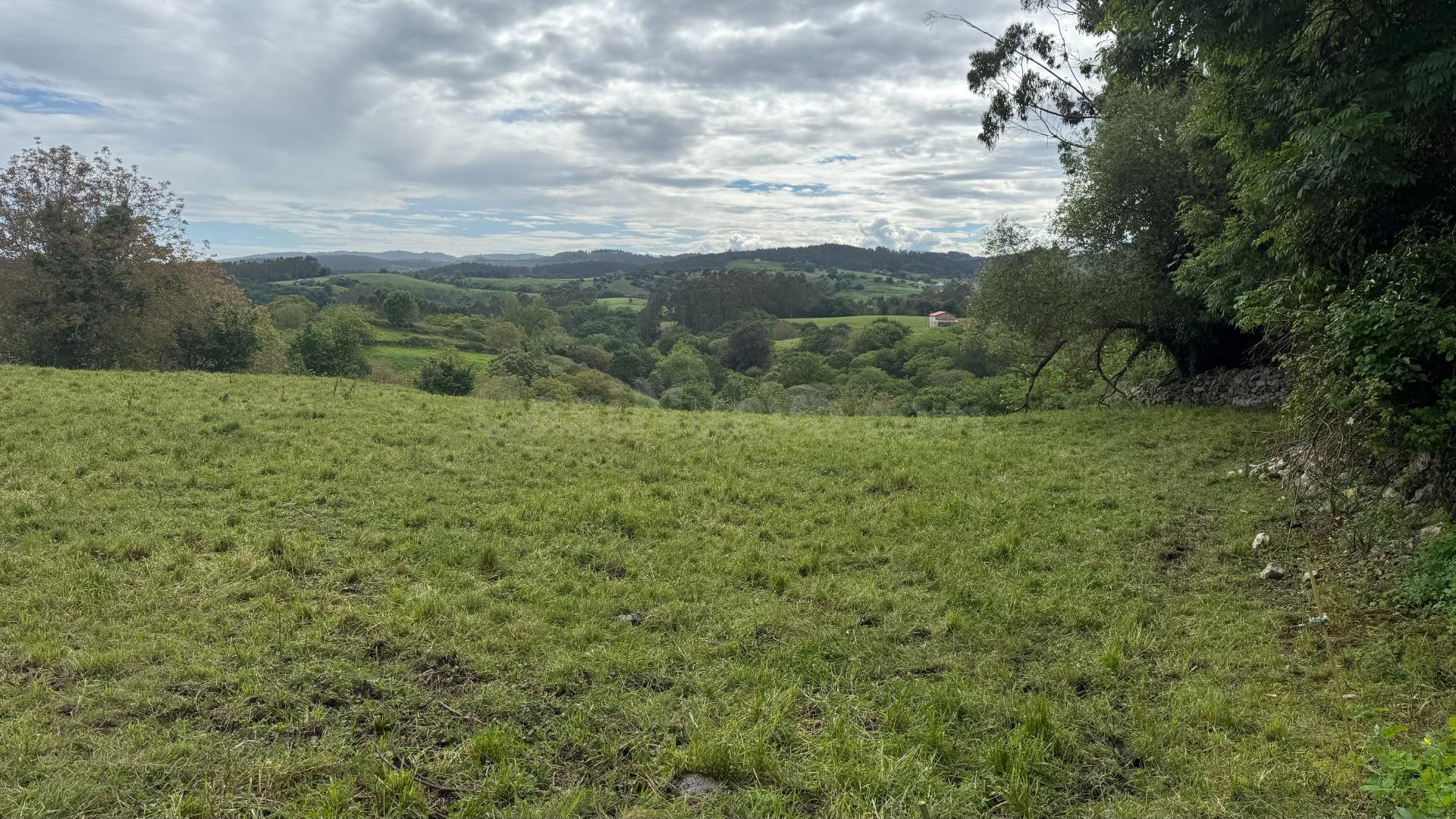Terreno rural en venta - Lamadrid - foto 5