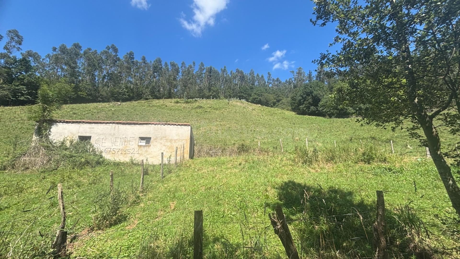SE VENDE TERRENO RUSTICO EN RAMALES DE LA VICTORIA (CANTABRI
