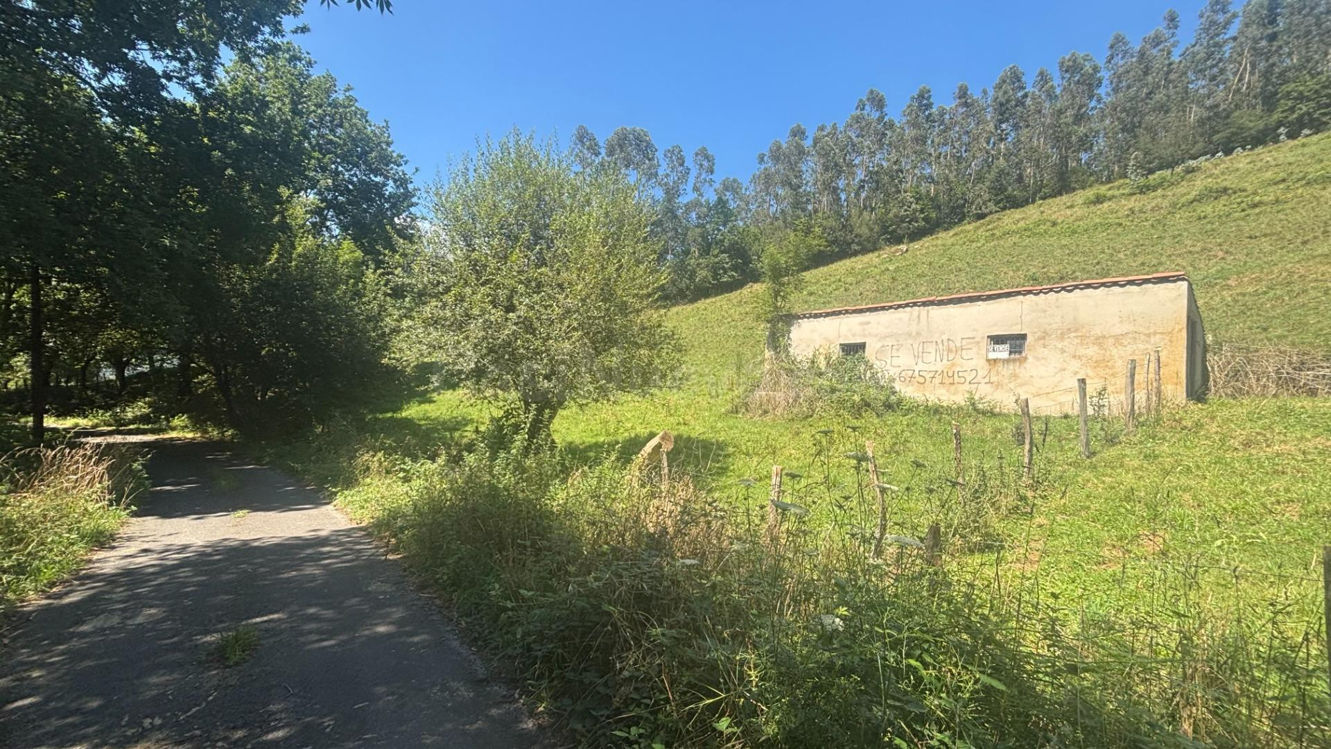 SE VENDE TERRENO RUSTICO EN RAMALES DE LA VICTORIA (CANTABRI - foto 2