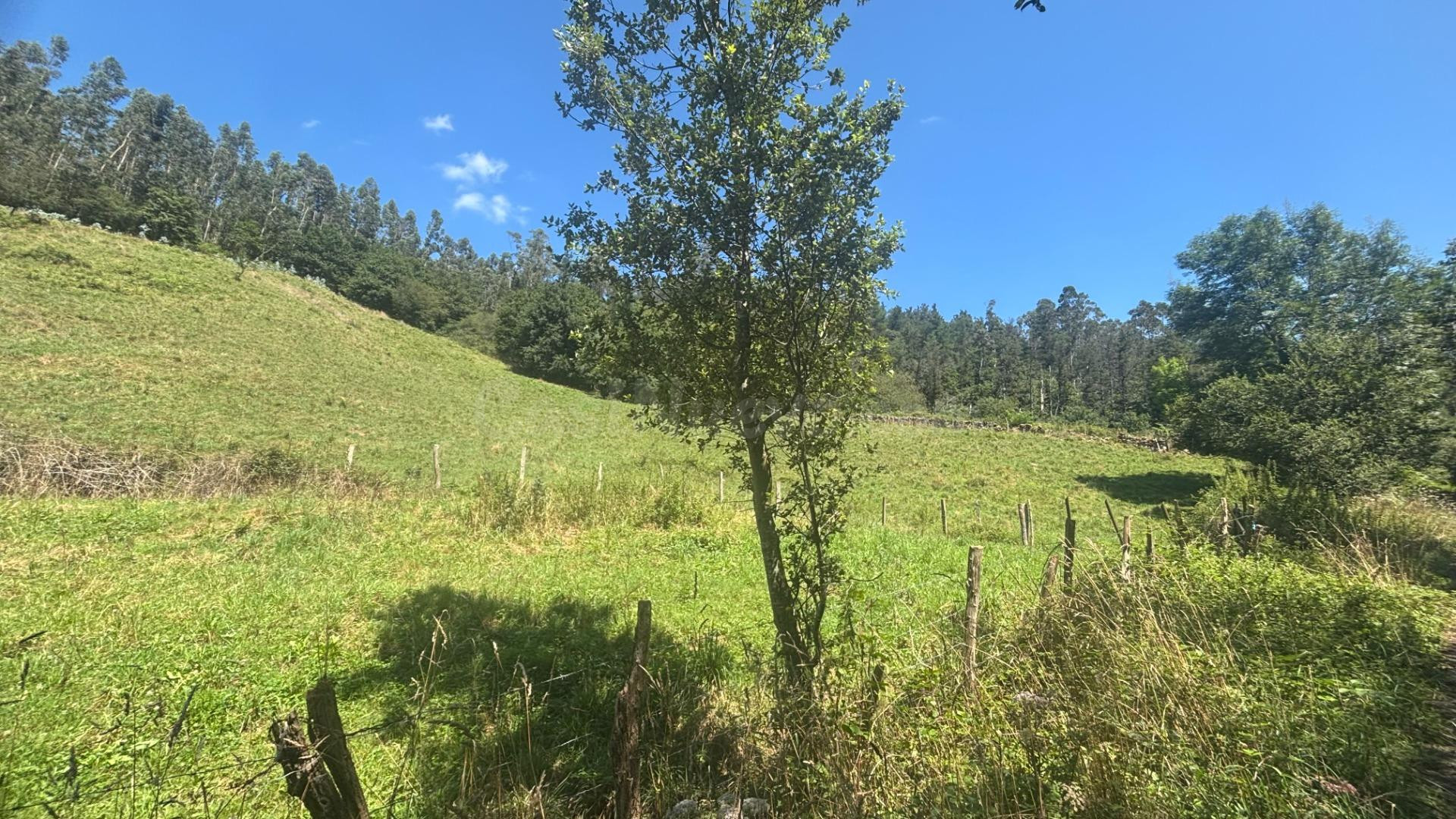 SE VENDE TERRENO RUSTICO EN RAMALES DE LA VICTORIA (CANTABRI - foto 3