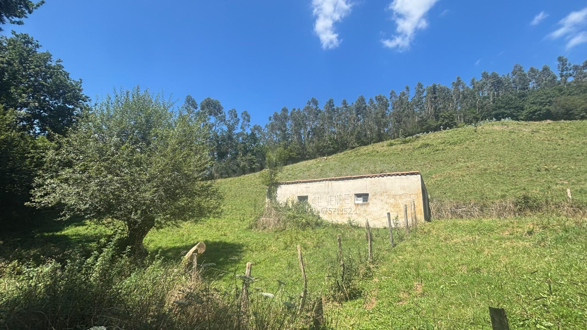 SE VENDE TERRENO RUSTICO EN RAMALES DE LA VICTORIA (CANTABRI - foto 4