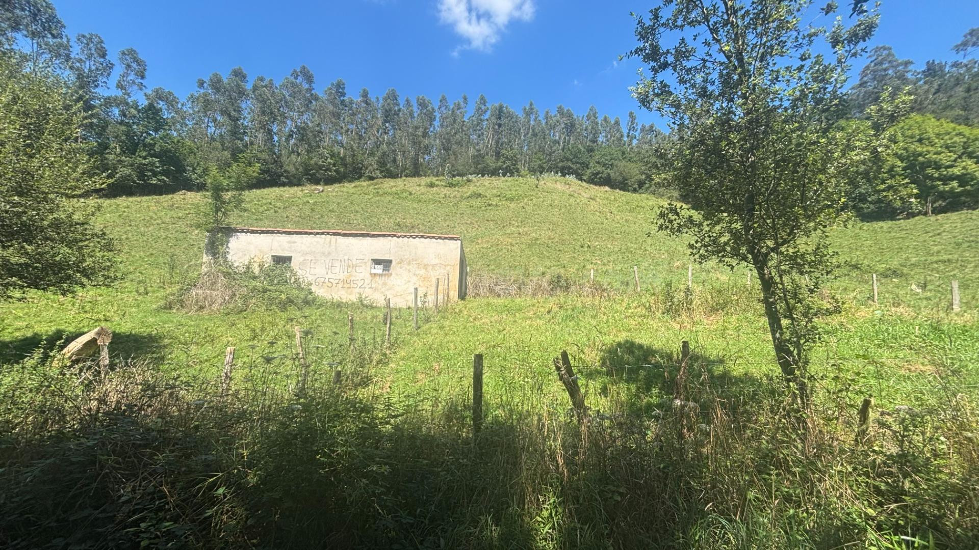 SE VENDE TERRENO RUSTICO EN RAMALES DE LA VICTORIA (CANTABRI - foto 5