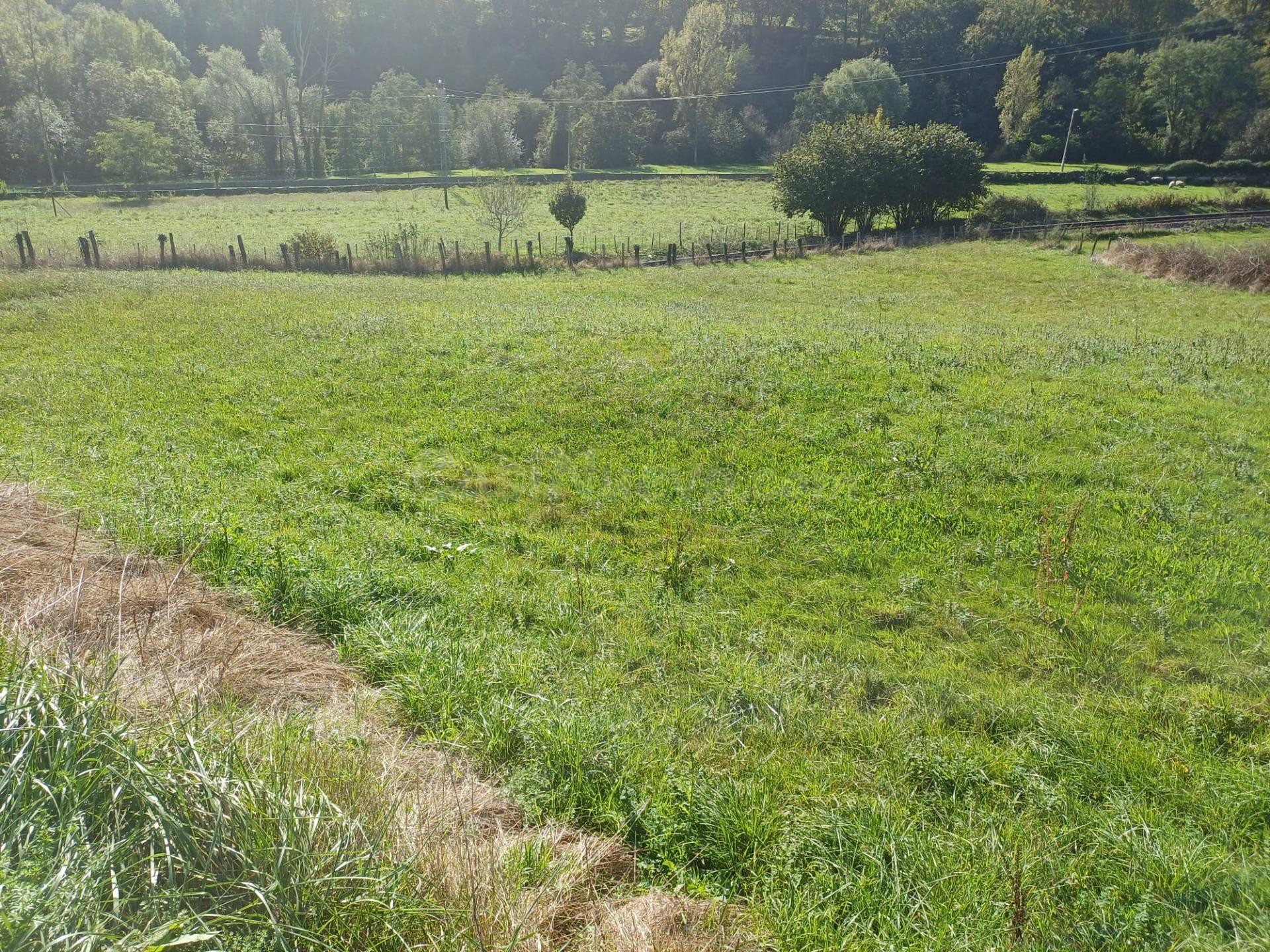 PARCELA EN GIBAJA (CANTABRIA) - foto 2