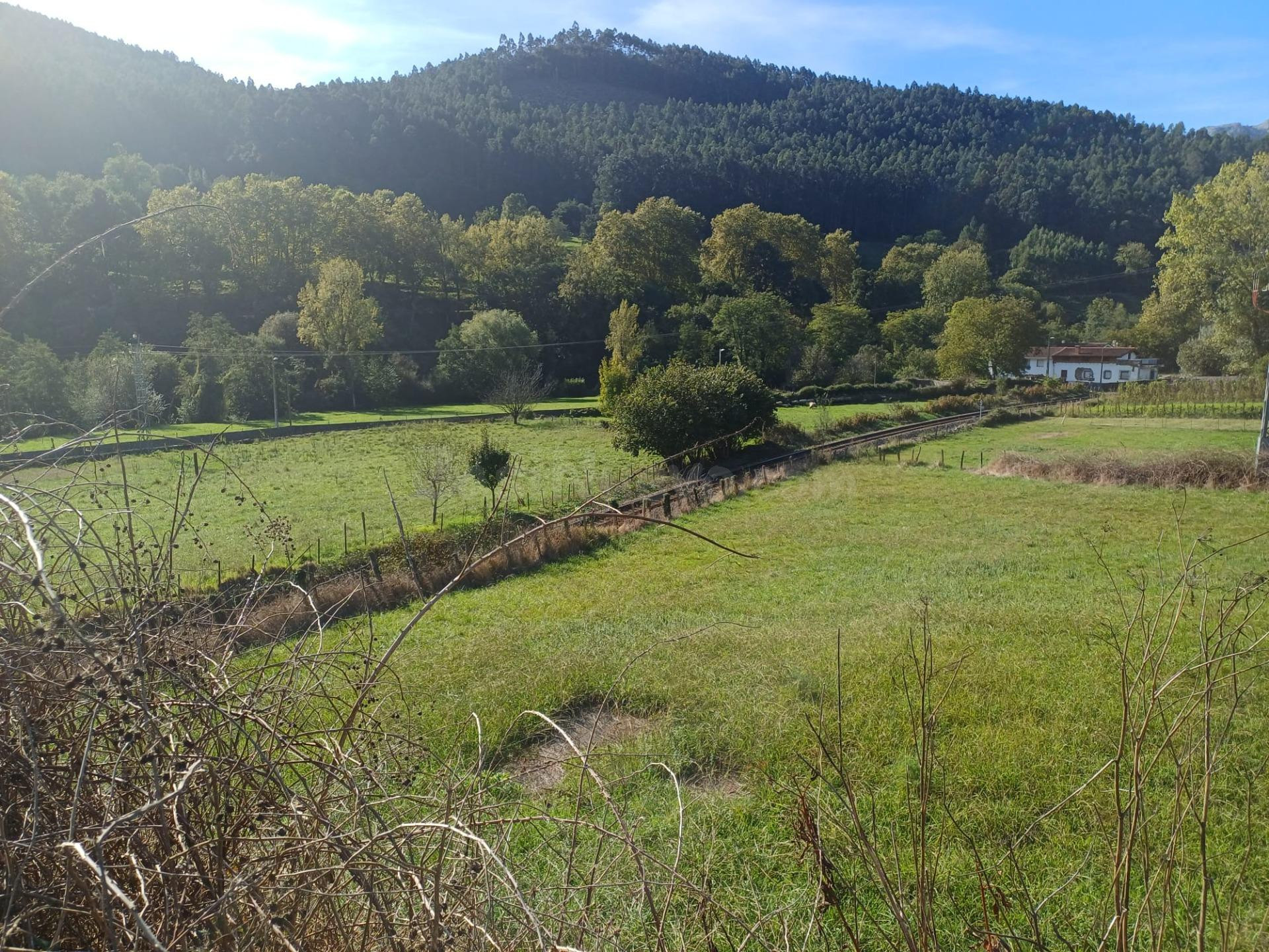 PARCELA EN GIBAJA (CANTABRIA) - foto 3