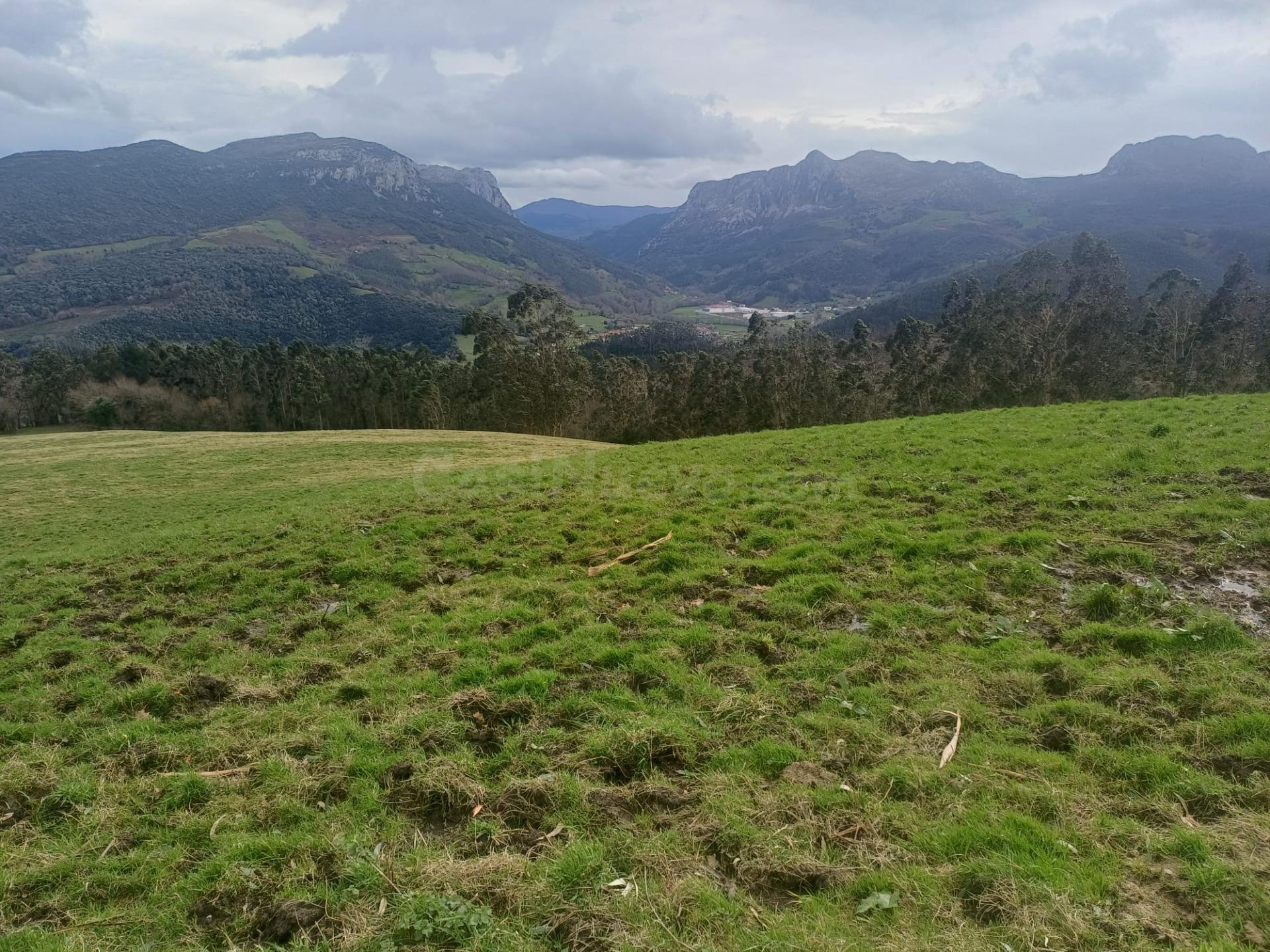 SE VENDE FINCA EN LA SIERRA (RAMALES DE LA VICTORIA-CANTABRI - foto 2