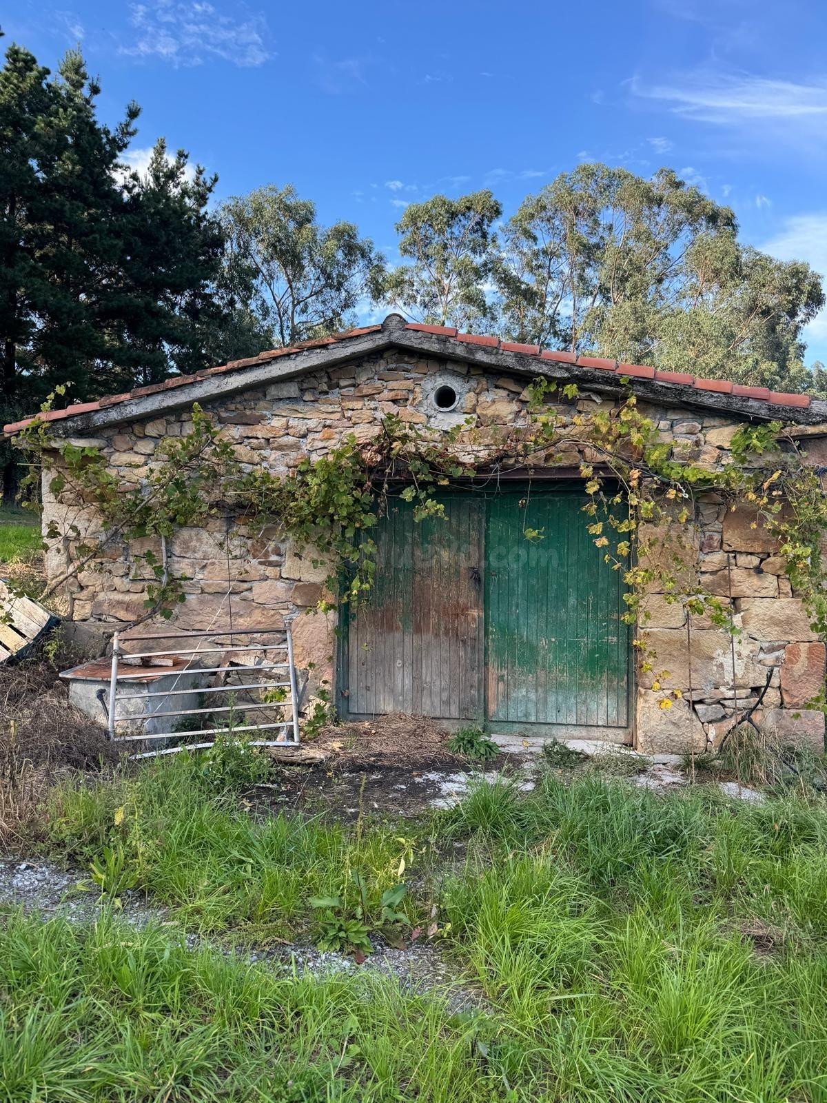 SE VENDE FINCA EN LA SIERRA (RAMALES DE LA VICTORIA-CANTABRI - foto 3