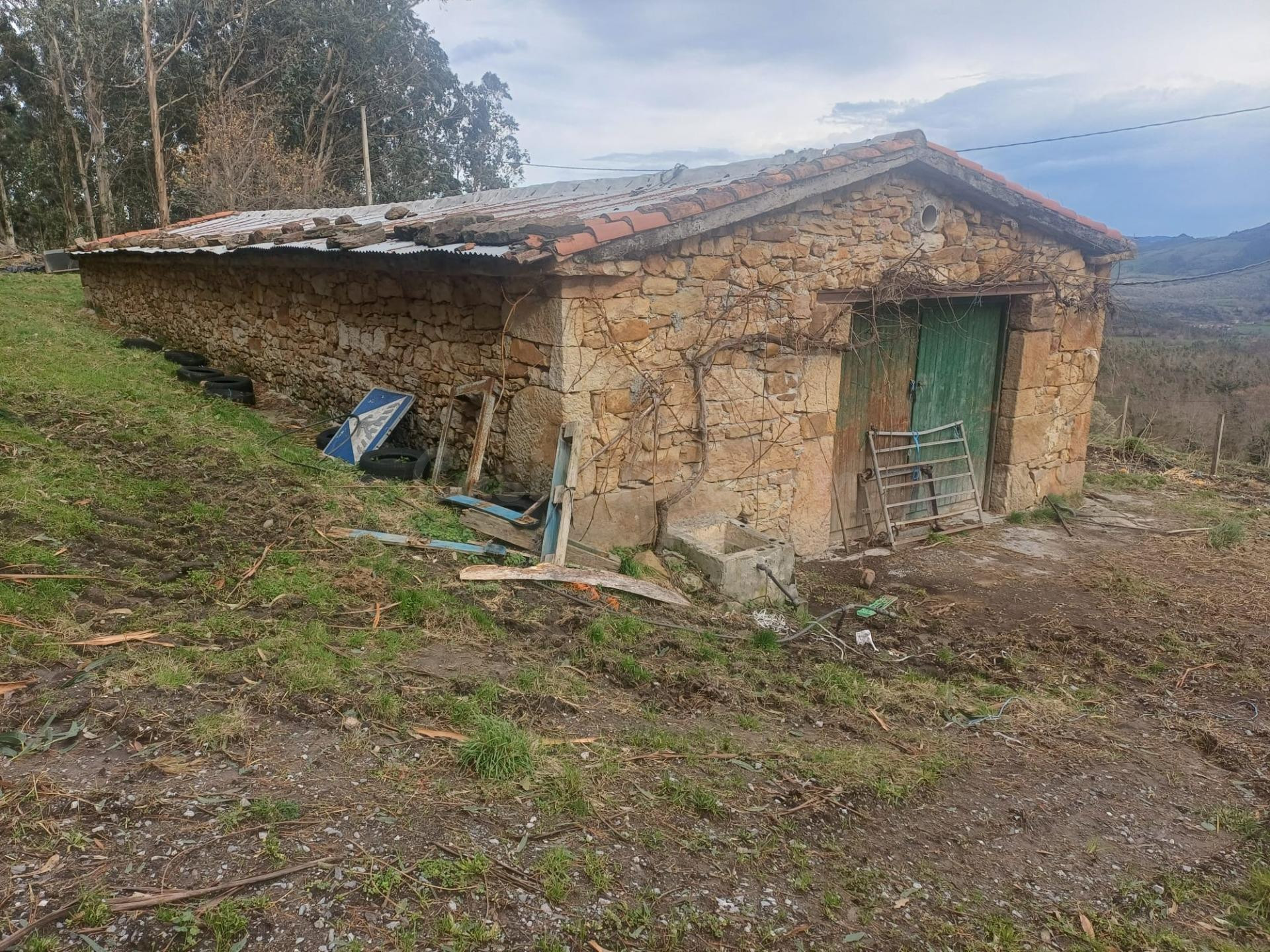 SE VENDE FINCA EN LA SIERRA (RAMALES DE LA VICTORIA-CANTABRI - foto 5
