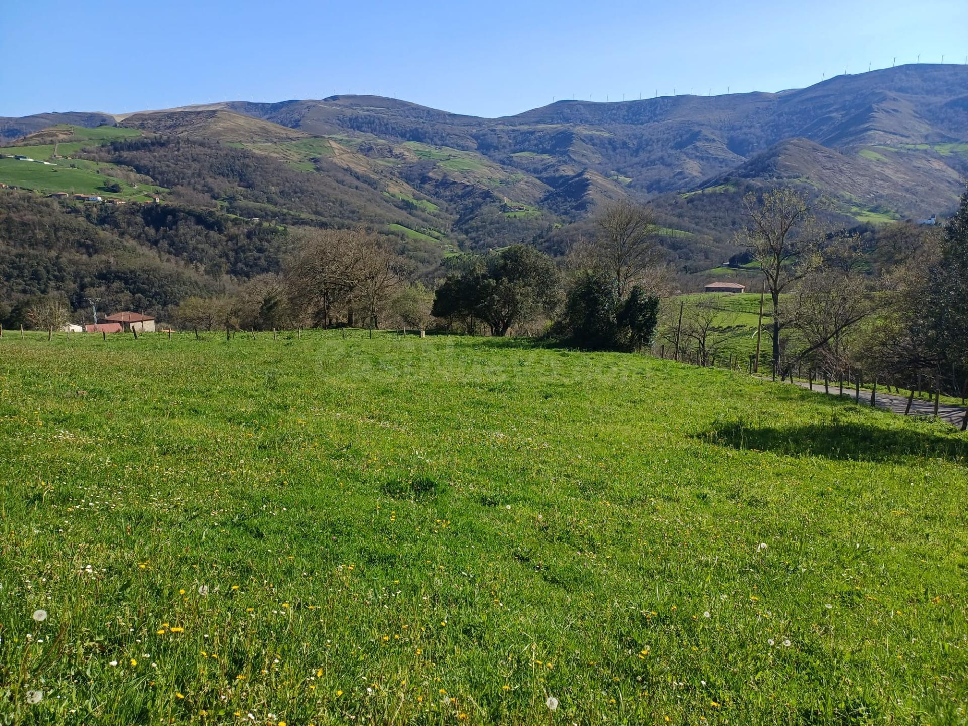 TERRENO EN VEGUILLA DE SOBA (CANTABRIA)