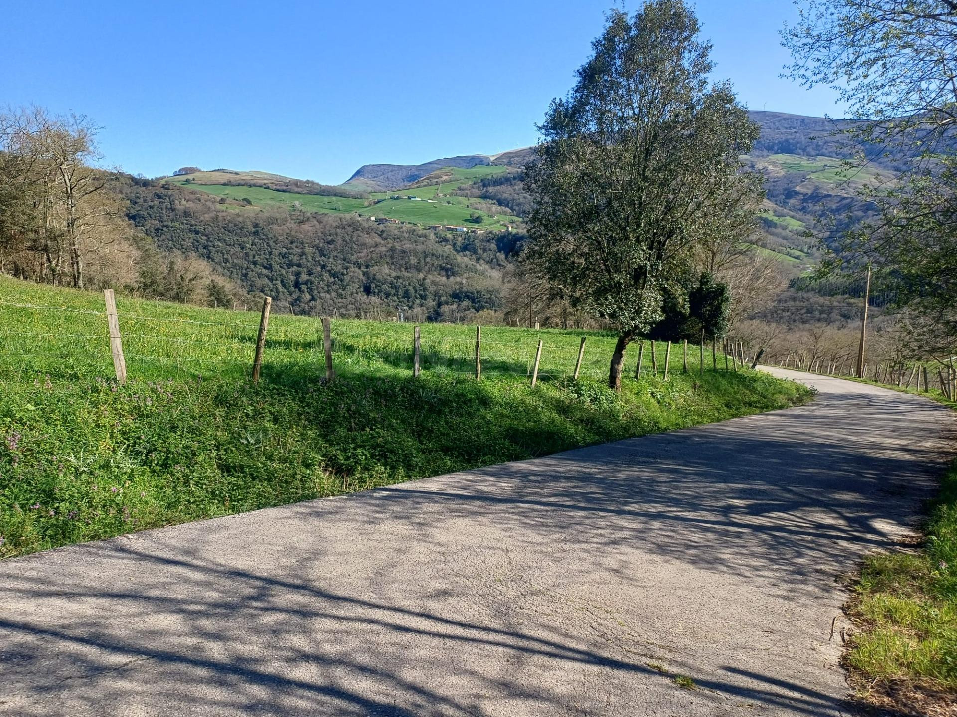 TERRENO EN VEGUILLA DE SOBA (CANTABRIA) - foto 2