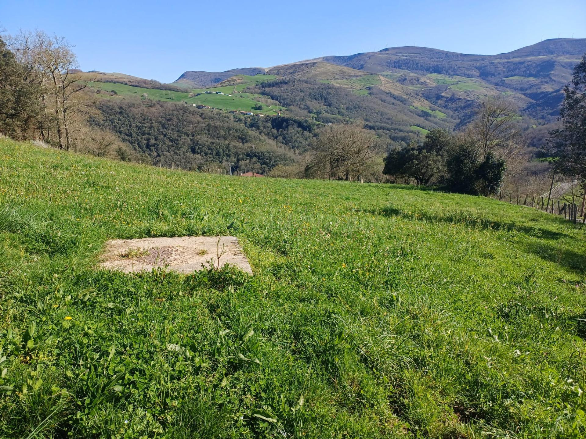 TERRENO EN VEGUILLA DE SOBA (CANTABRIA) - foto 3