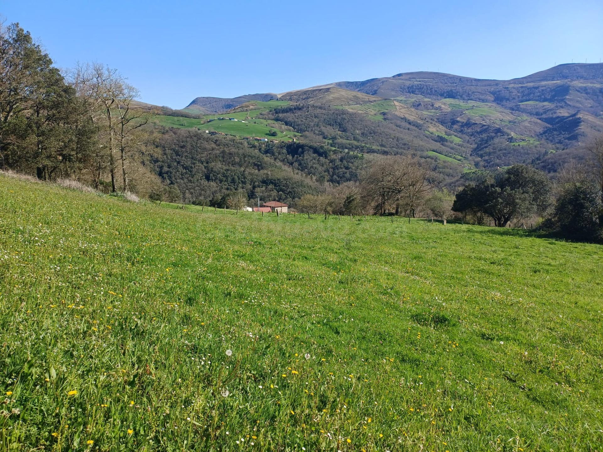 TERRENO EN VEGUILLA DE SOBA (CANTABRIA) - foto 4