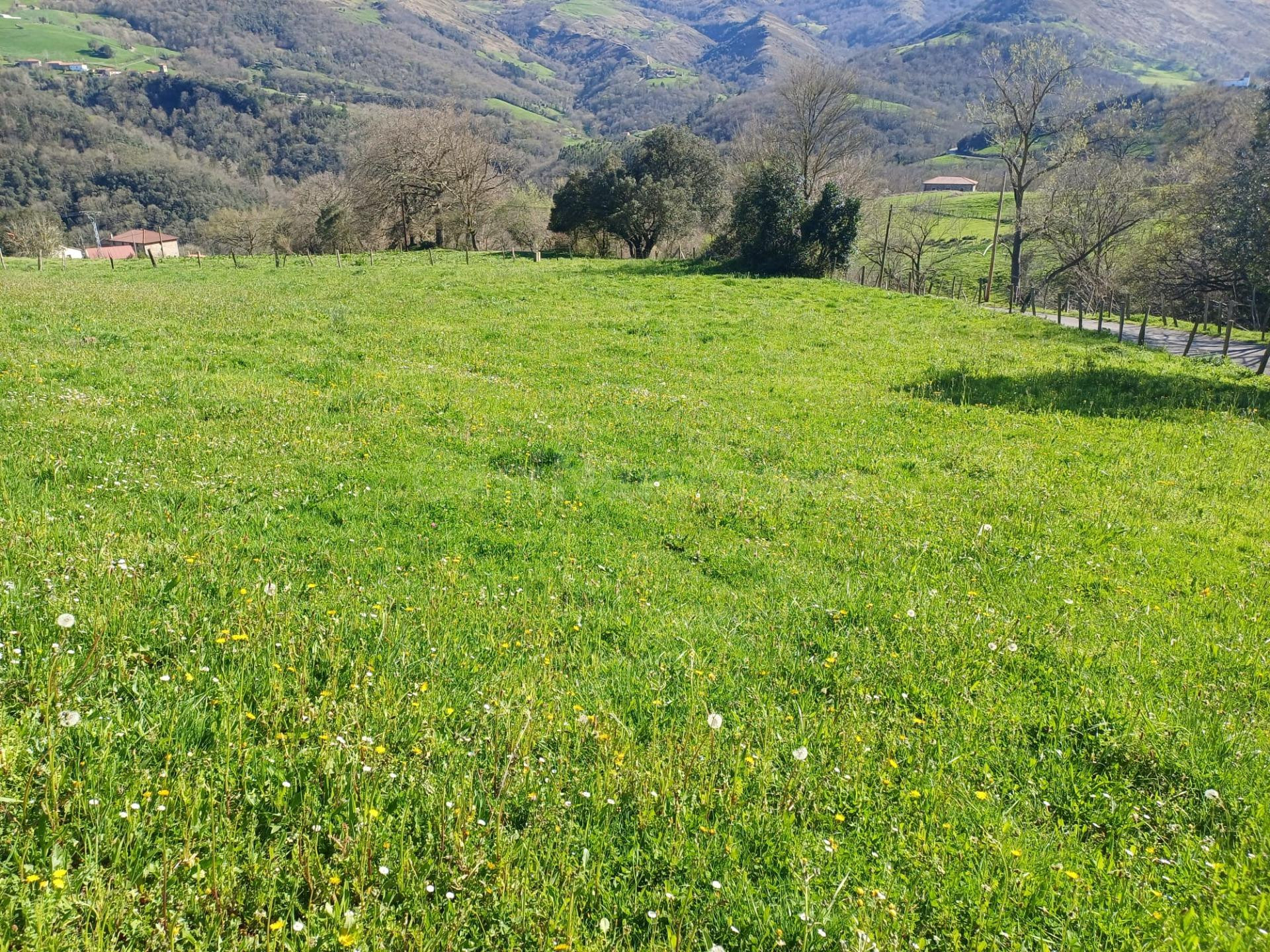 TERRENO EN VEGUILLA DE SOBA (CANTABRIA) - foto 5
