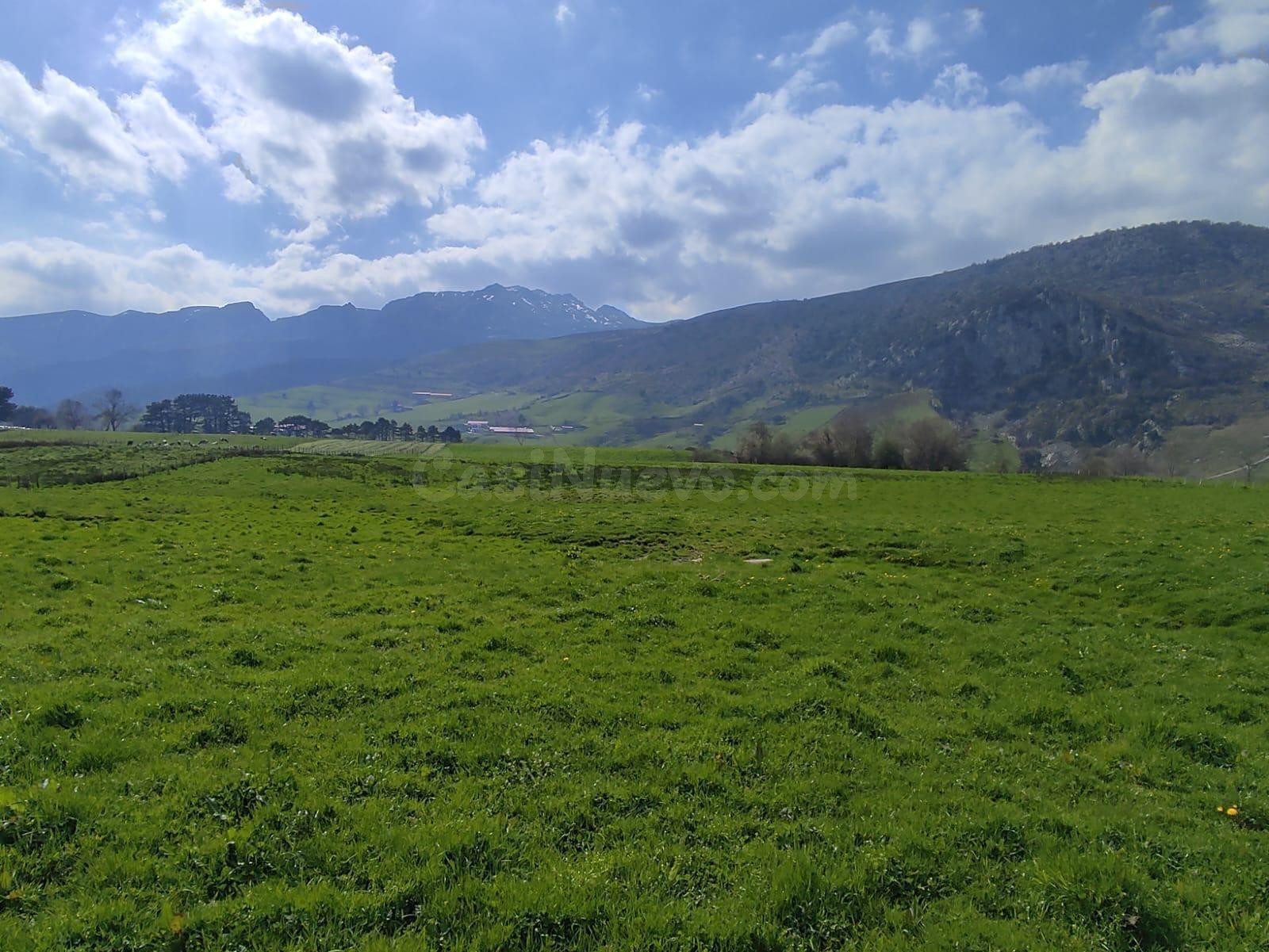SE VENDE CASA Y TERRENO EN LA GANDARA- SOBA (CANTABRIA) - foto 3