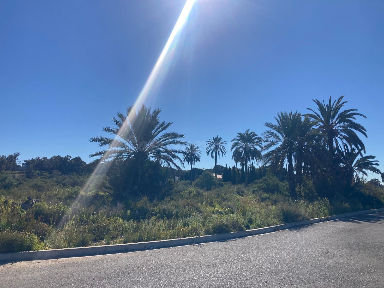 PARCELA PRÓXIMA A SANTA POLA !!! - foto 5