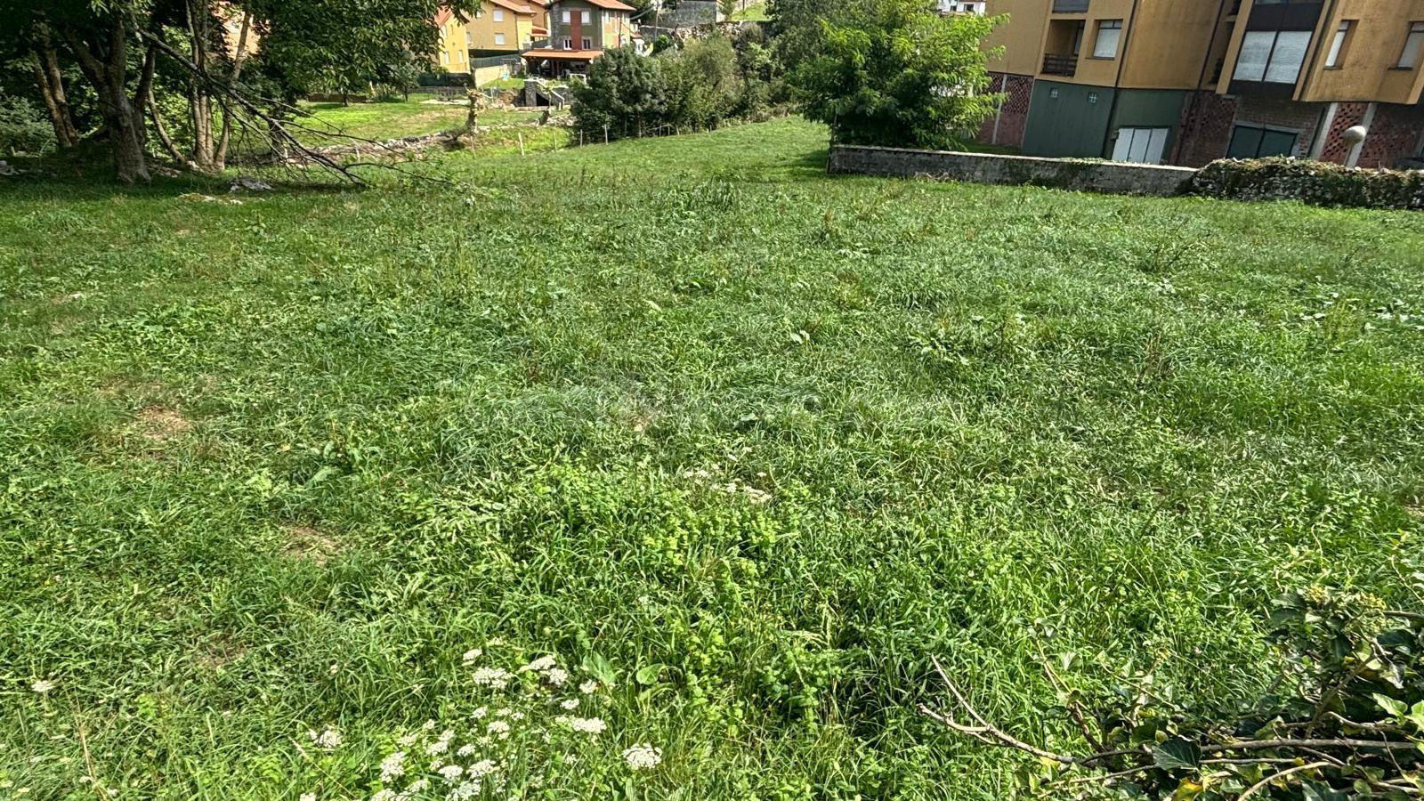 Parcela urbana en el centro de Arredondo – 1.041 m2 - foto 3