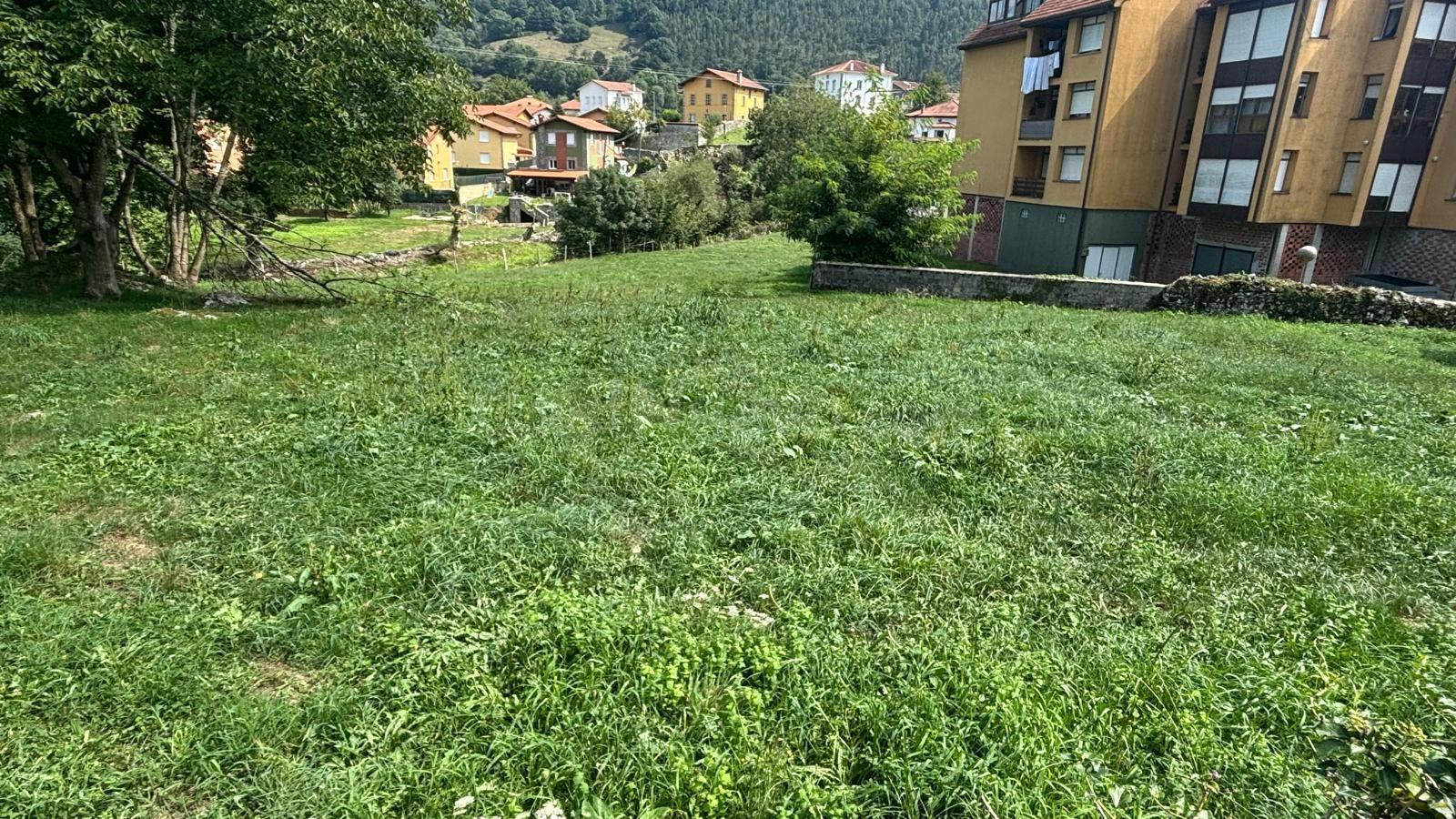 Parcela urbana en el centro de Arredondo – 1.041 m2 - foto 4