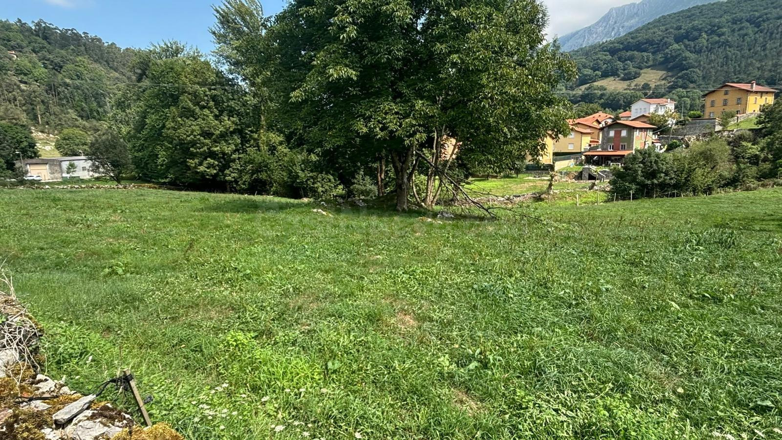 Parcela urbana en el centro de Arredondo – 1.041 m2 - foto 5