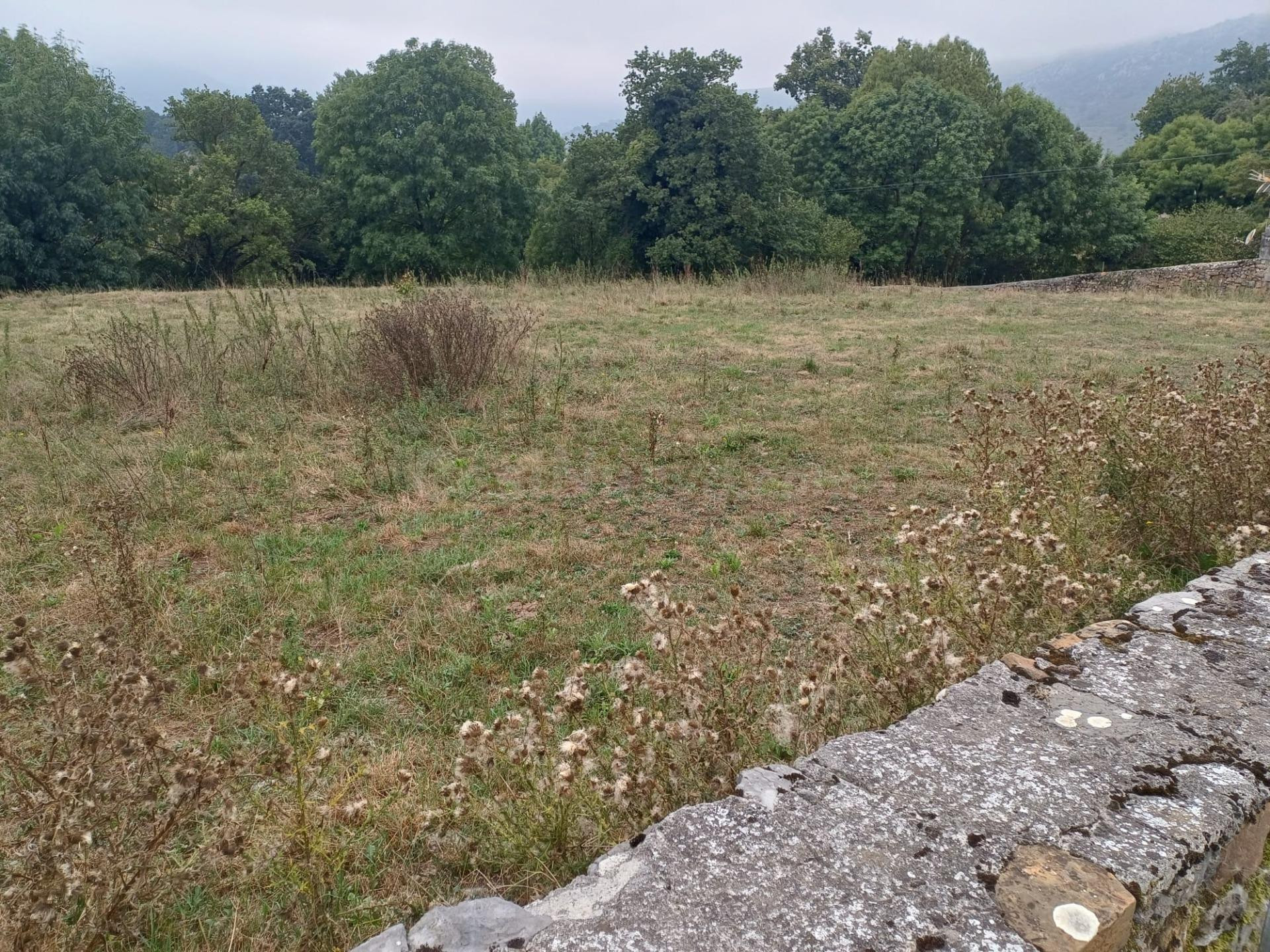 PARCELA URBANA EN LA GANDARA DE SOBA (CANTABRIA) - foto 5