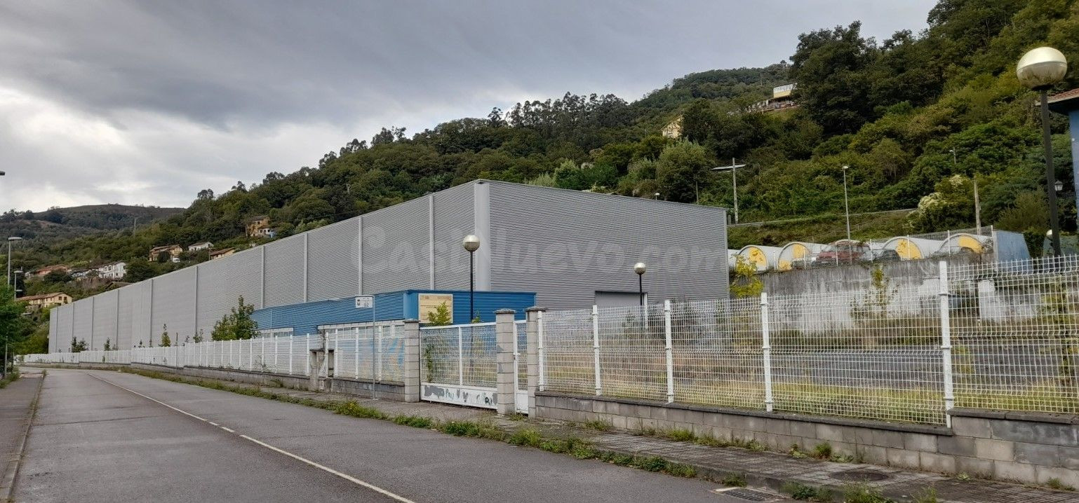 Nave industrial 1 habitación 6341m² en venta - Figaredo - Tu