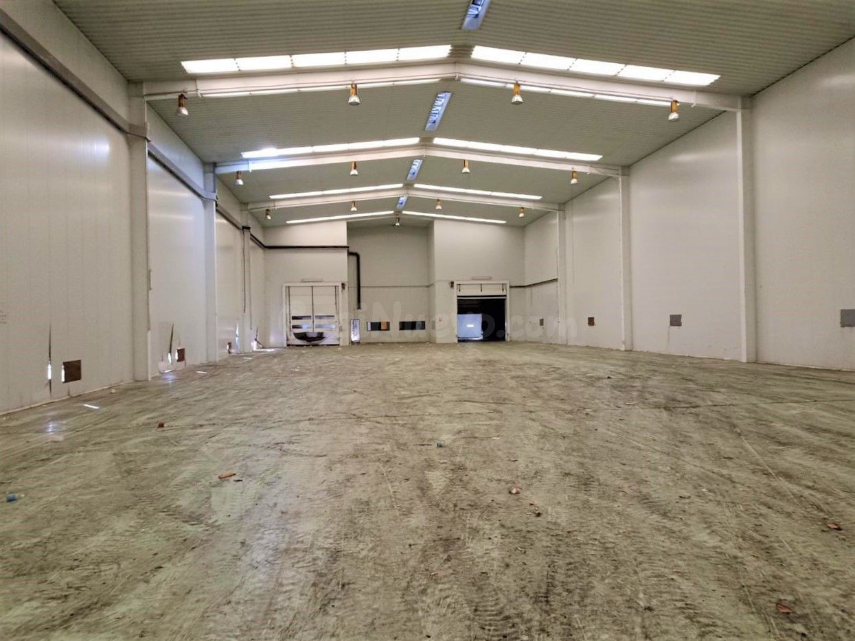 Nave industrial 1 habitación 6341m² en venta - Figaredo - Tu - foto 5