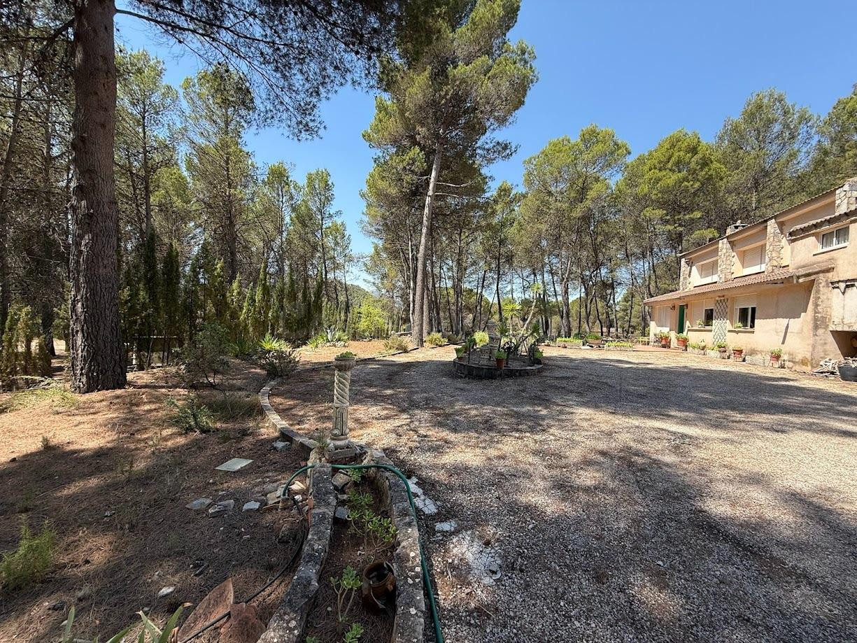 Vive en plena naturaleza en una casa independiente con pisci - foto 5