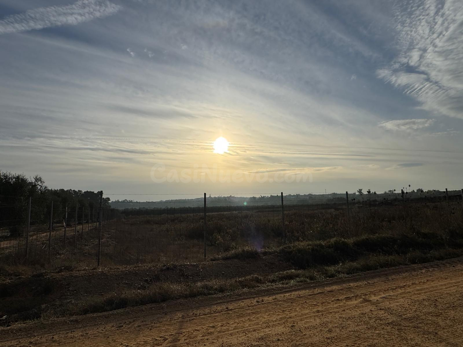 Terreno Rural en Aznalcázar - Oportunidad de Inversión