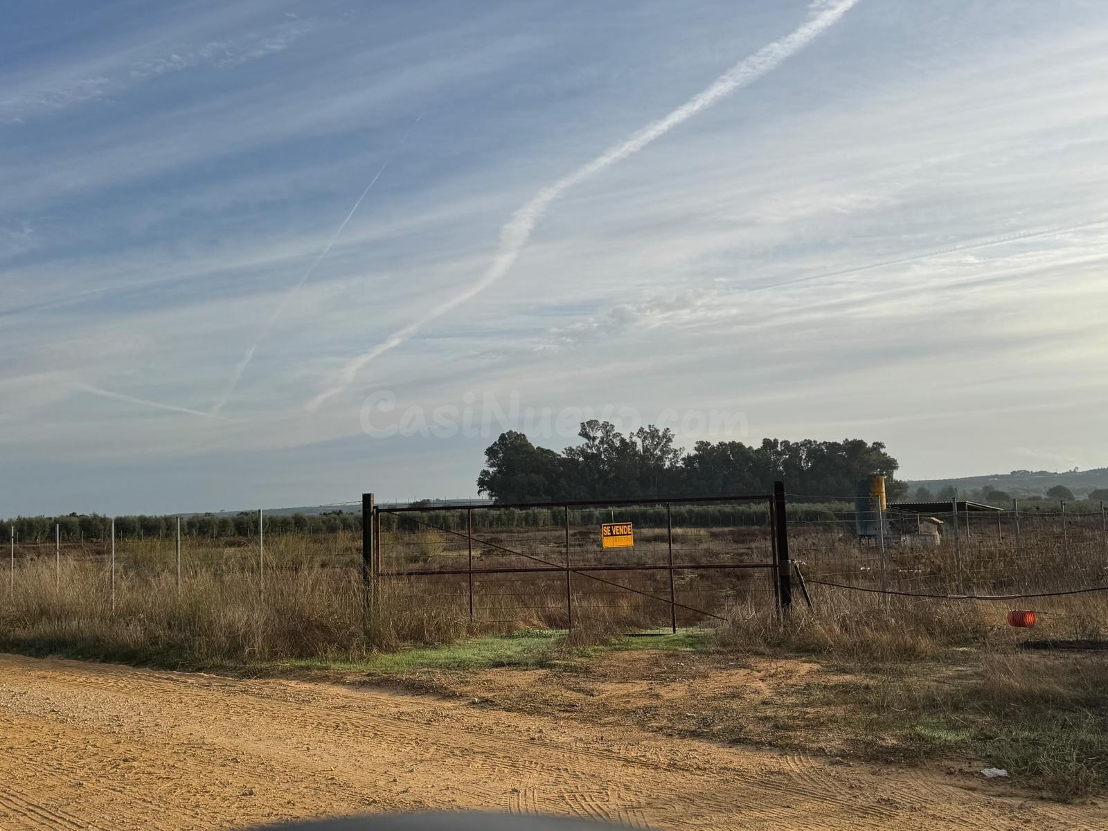 Terreno Rural en Aznalcázar - Oportunidad de Inversión - foto 2