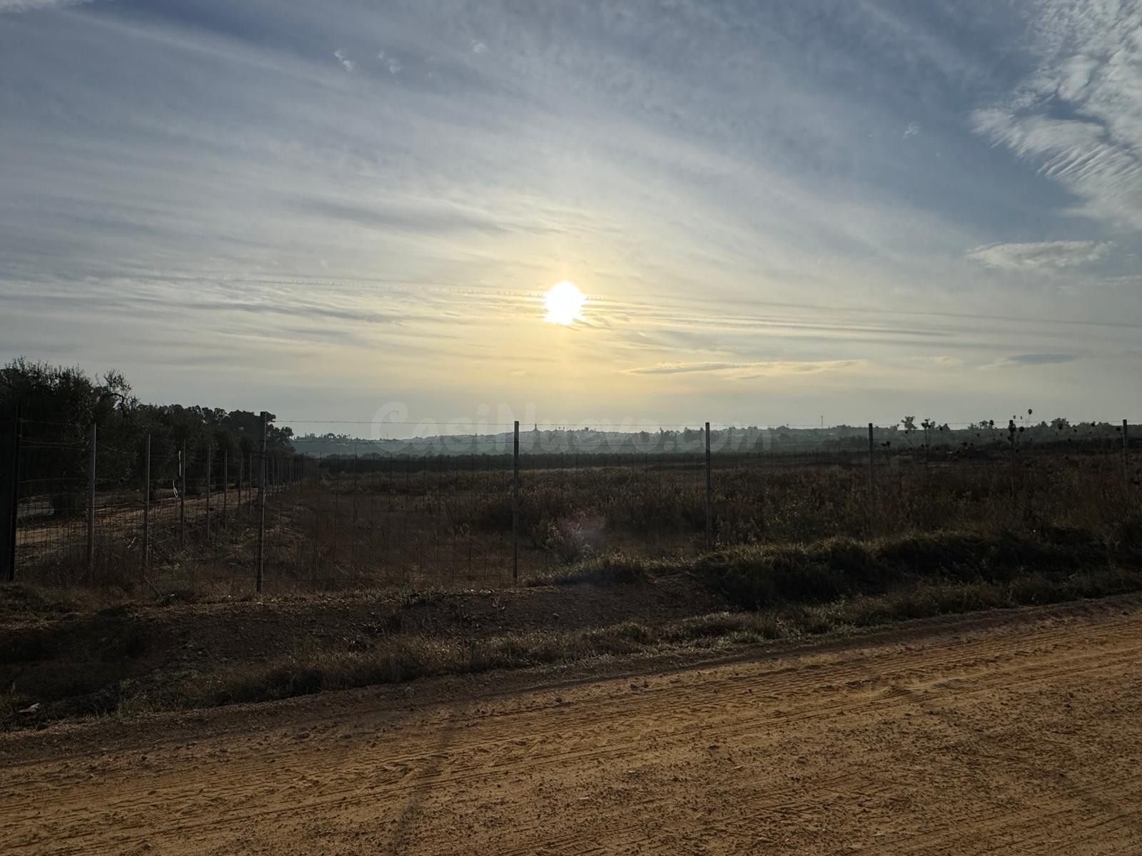 Terreno Rural en Aznalcázar - Oportunidad de Inversión - foto 3